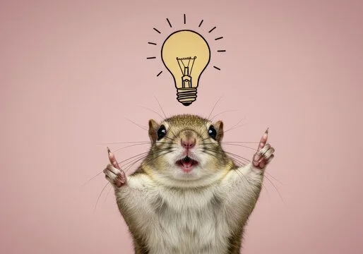 “Wait… I Get It Now!”