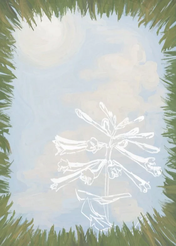 my grandmother remembers me in the season of honeysuckle