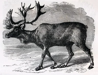 Self-Portrait in Charlottesville, Virginia