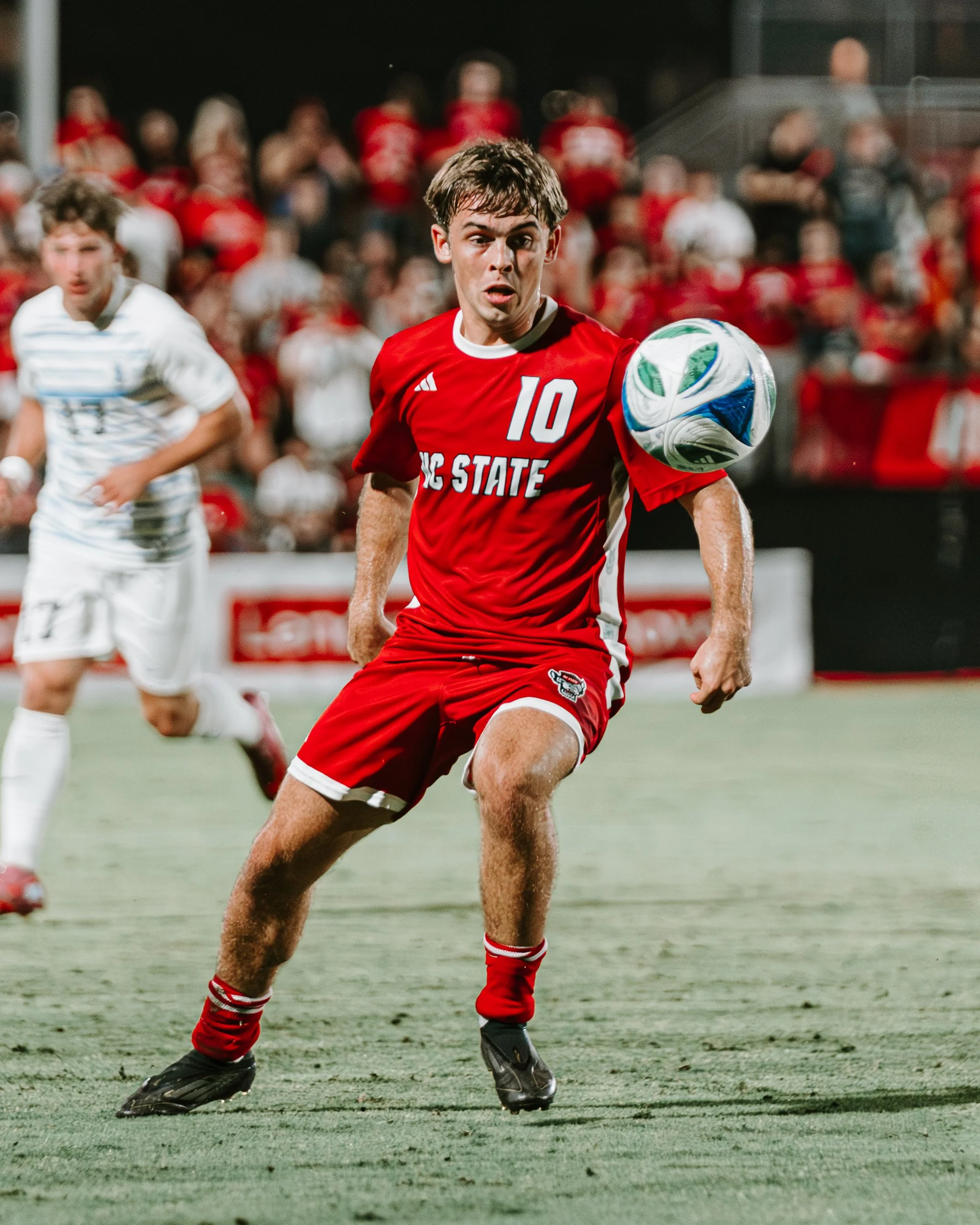 _DSC5296-Enhanced-NR copy.jpg