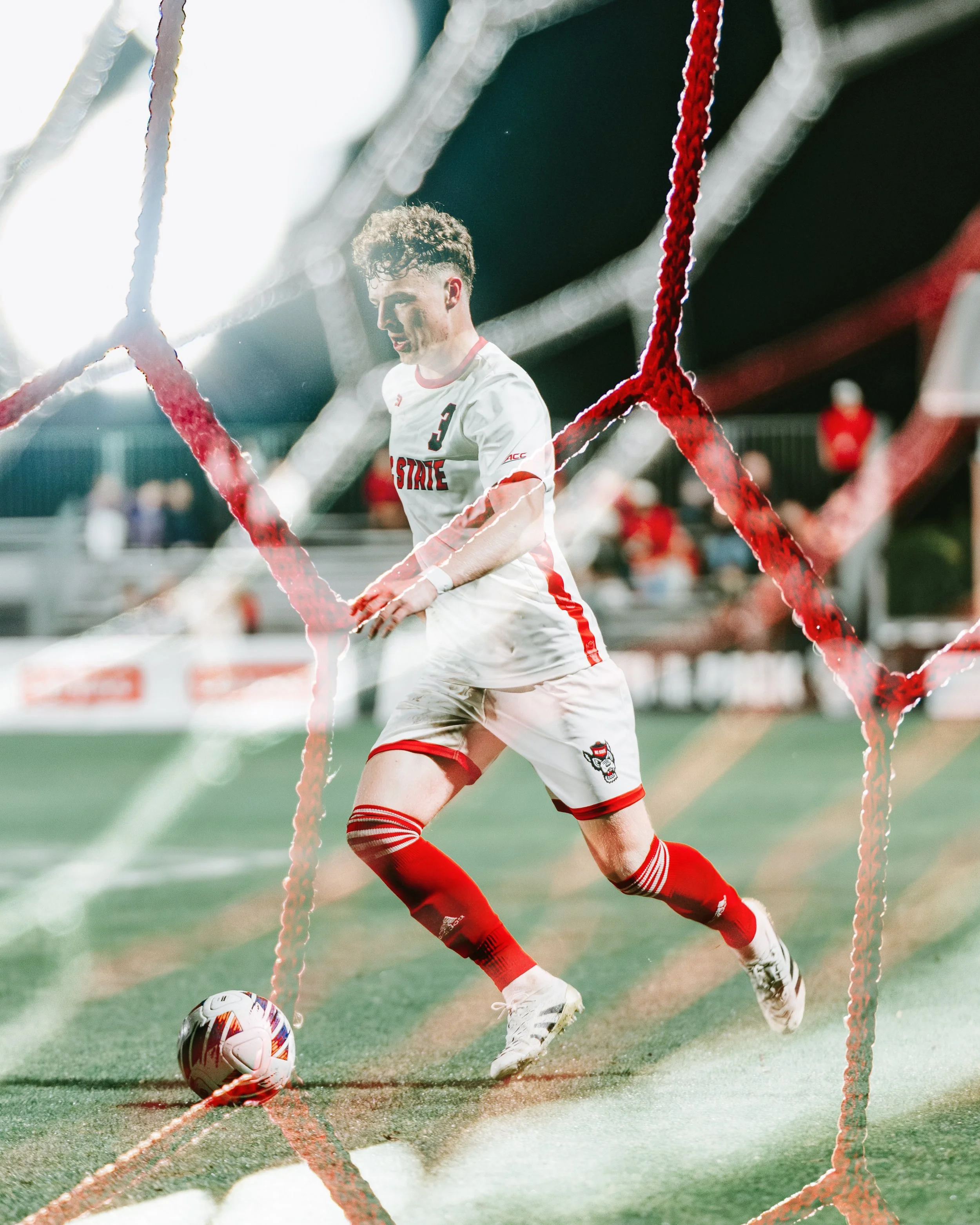 _ZGT0296-Enhanced-NR 2.jpg