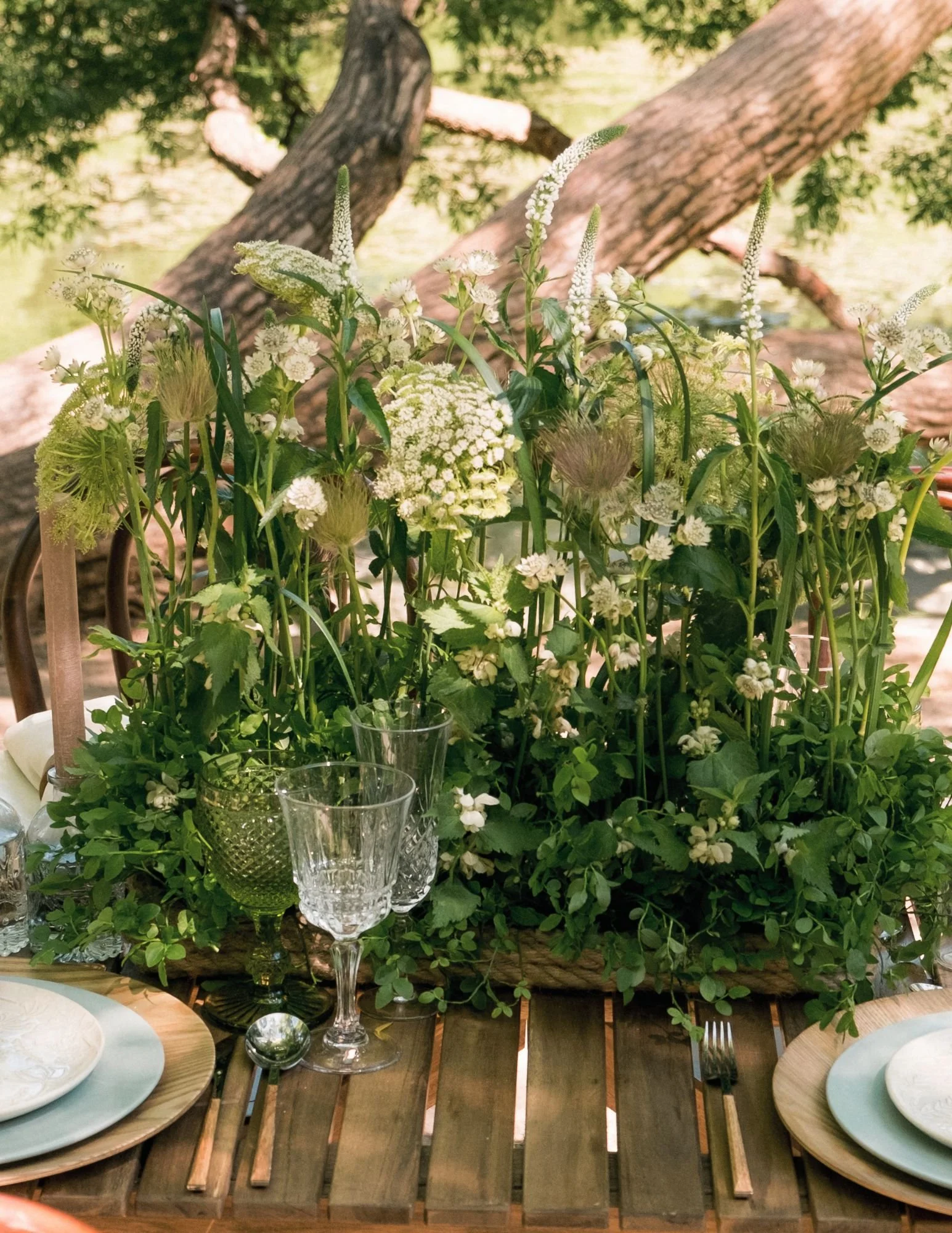 A wooden table set for dining outdoors with plates, glasses, and cutlery, surrounded by greenery and bathed in natural light.