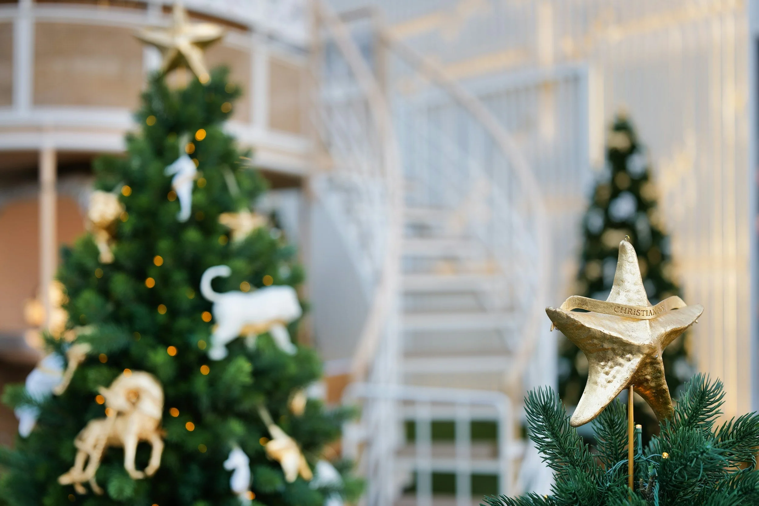 Small Upgrades That Make a Big Impact Before the Holidays