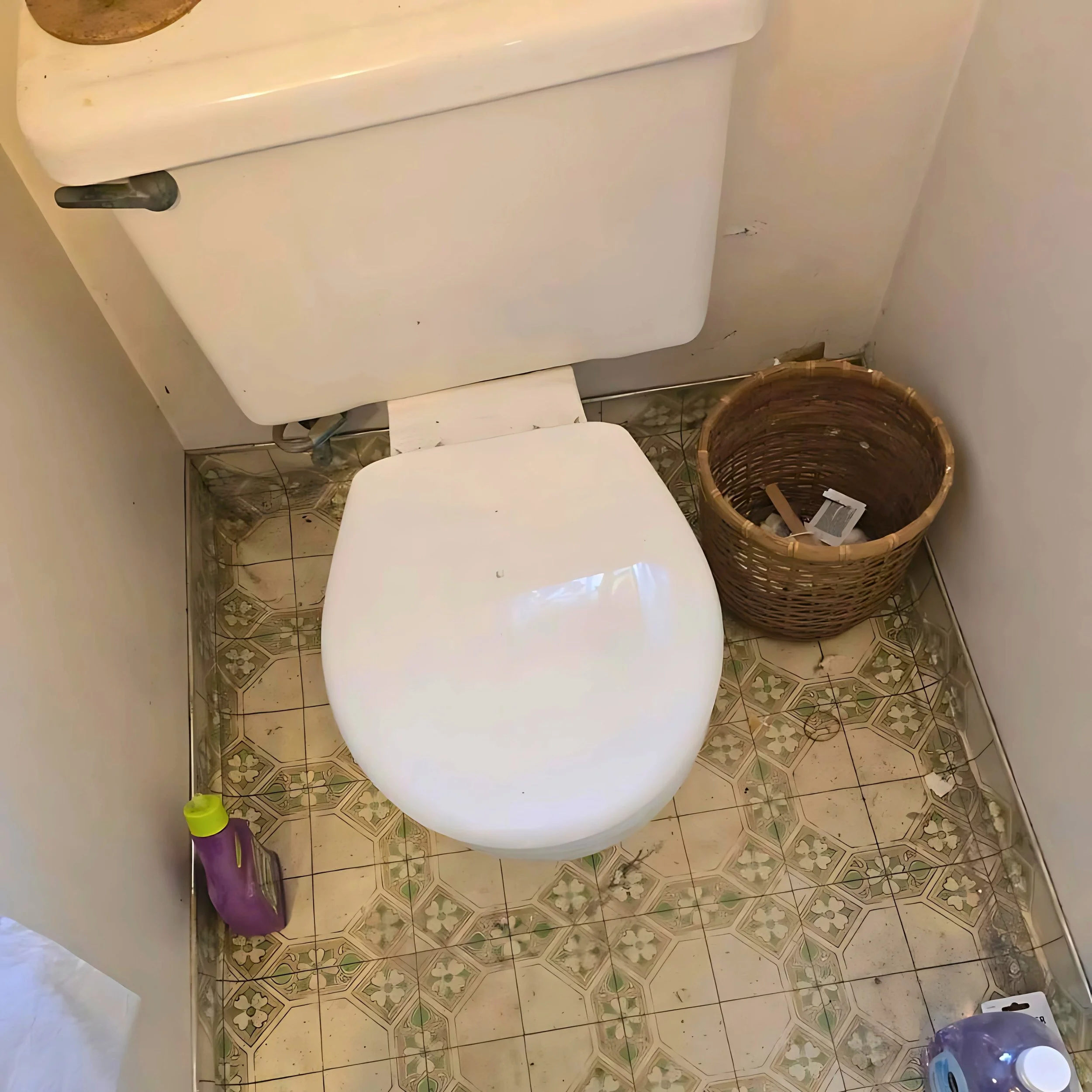 Toilet Installation_Walnut Creek.jpg