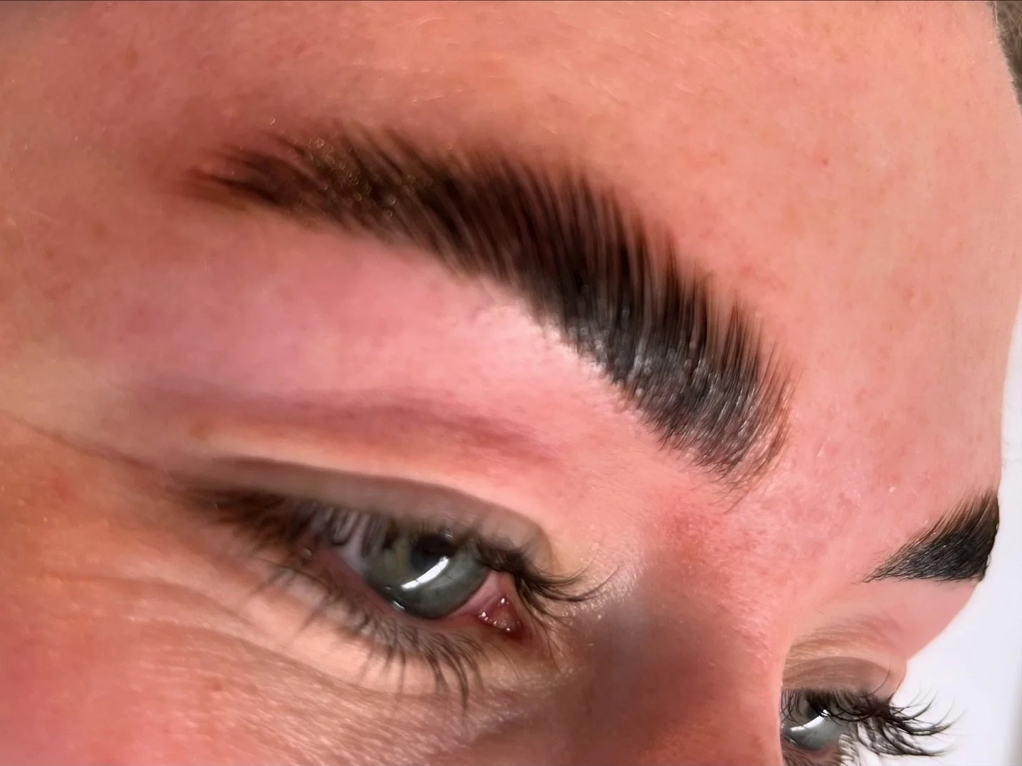 Bold and beautiful brow lamination. This is giving main character energy for sure. 

Brow lamination, shape, tint and trim. 🤩

&bull;
&bull;
&bull;
#browlamination #pdxbrows #pdxbrowartist #portlandbeauty #boldandbeautifulbabe #pdxesthetician