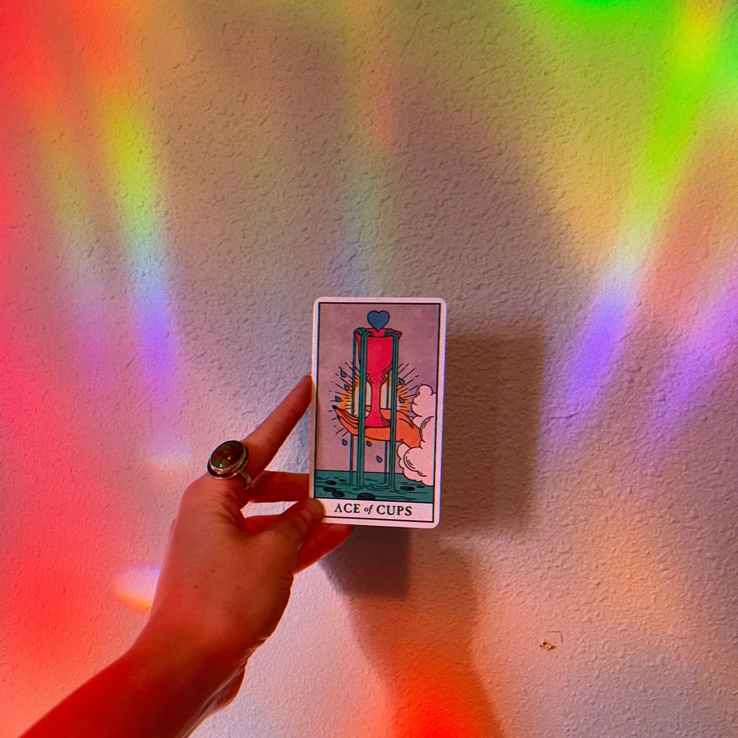 Cheers to one month at Ladybird! Thankyou for the abundance and support 🥹 

Todays card pull is the Ace of Cups; &ldquo;Something beautiful and full of love has just begun&rdquo; 

I&rsquo;ll take it ✨✨✨

#pdxesthetician #pdxenergyhealers #pdx #suga