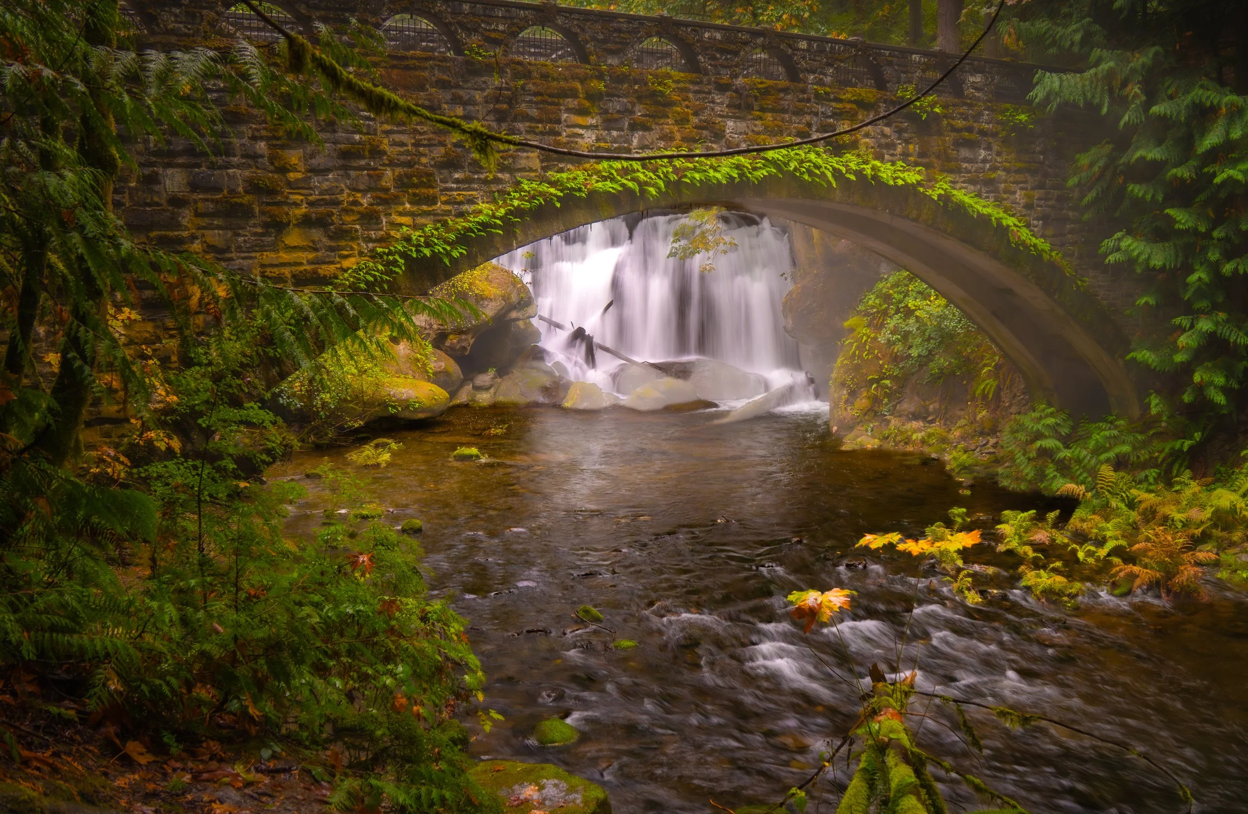 Whatcom Falls Serenity.jpg