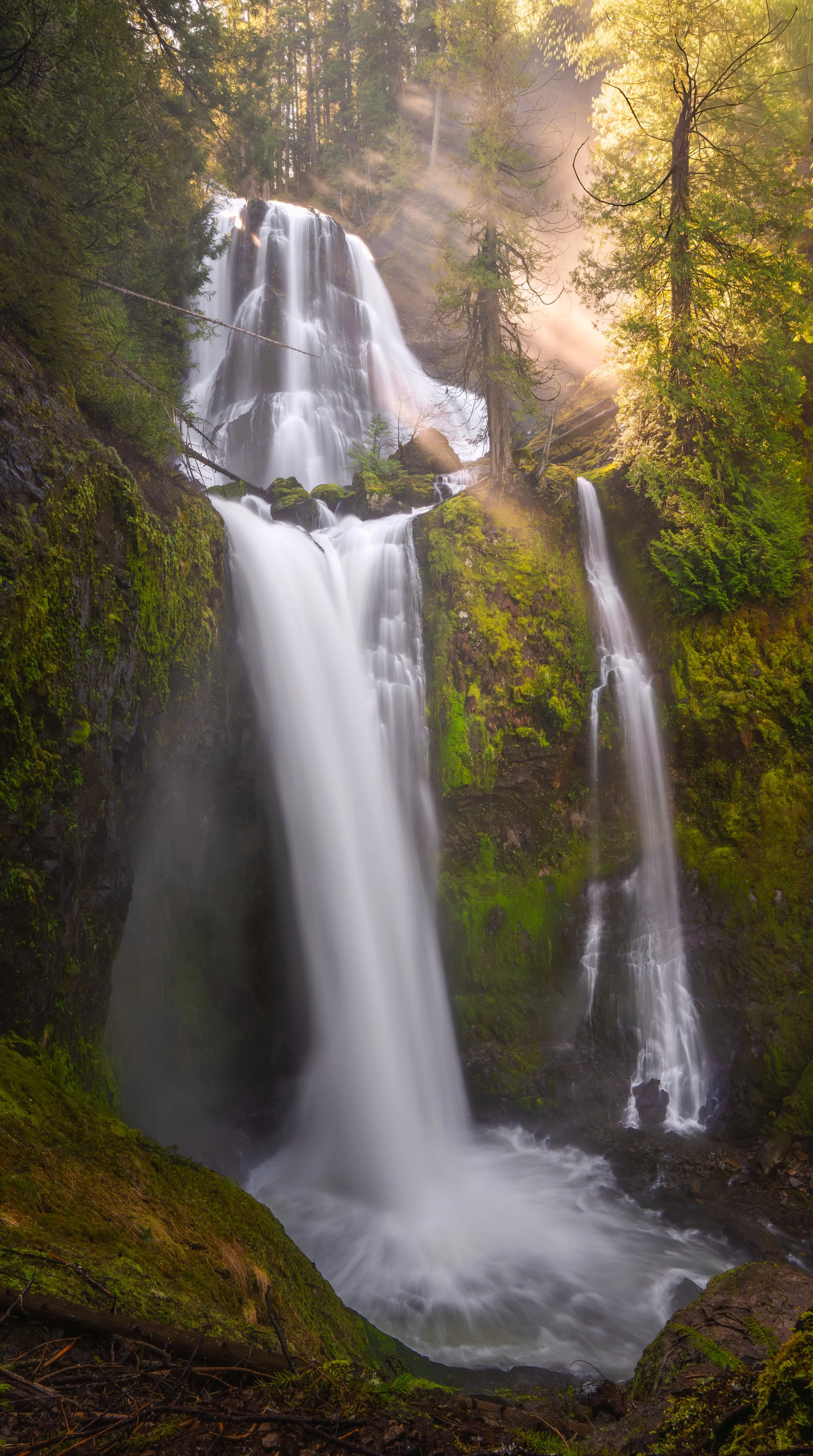 Falls Creek Falls, Washington. This place is almost surreal in the beauty that transpires when the light is right and the water is in Spring runoff. Well worth the journey to get get there! 