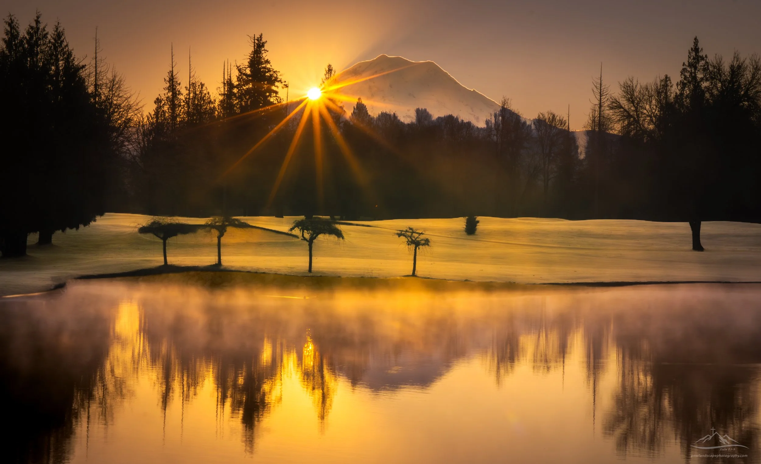 Timing is everything... cold January morning in the mist and the sun was positioned perfectly to peak over the Eastern flank of our beautiful mountain. 