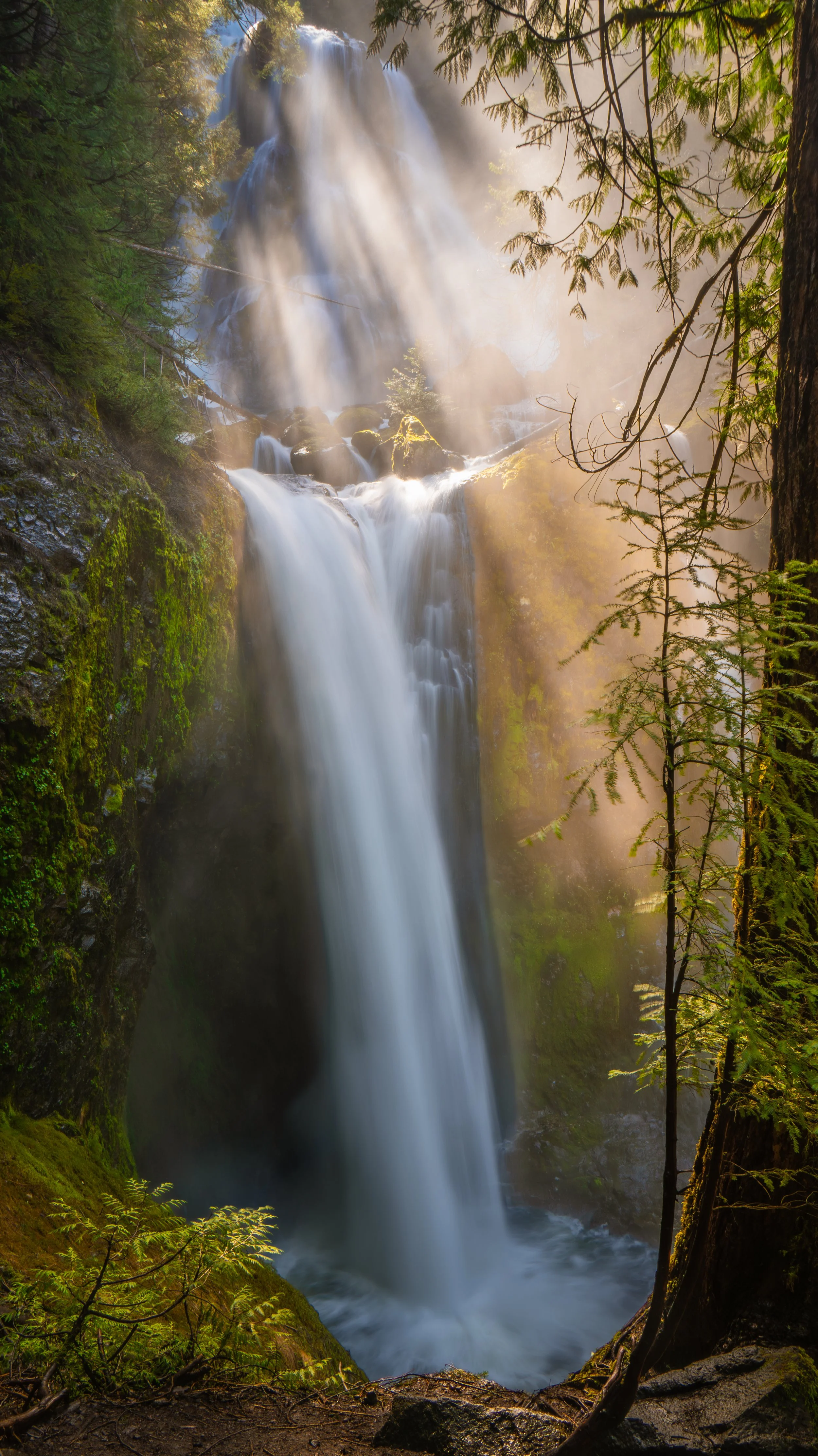 Falls Creek Falls, Washington. Once in a lifetime light on a beautiful Spring morning. 