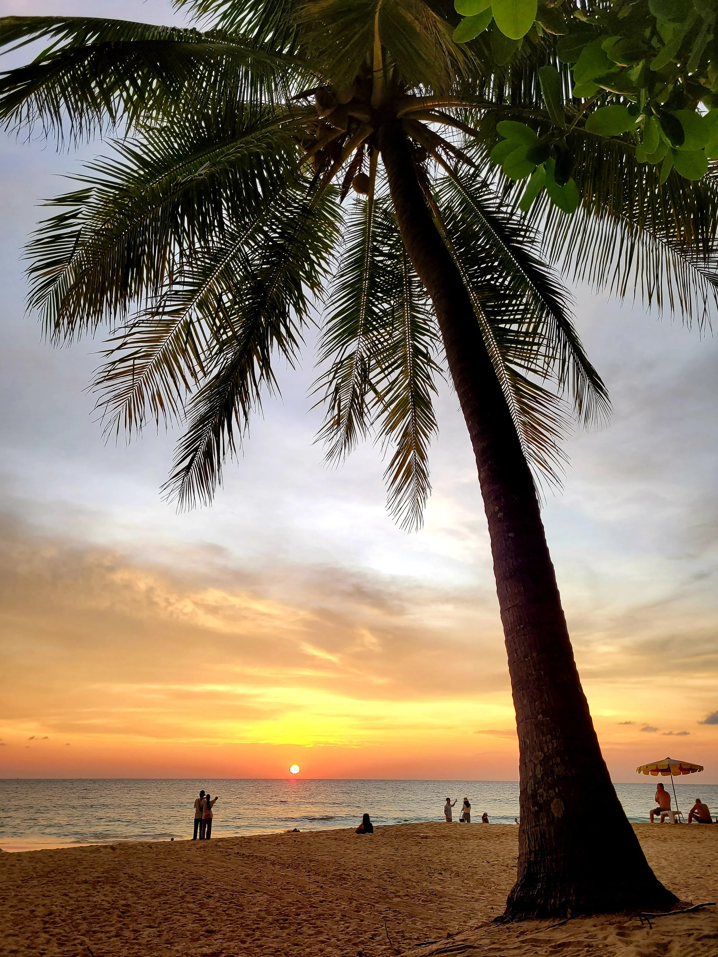 A tropical beach at sunset with a large palm tree in the foreground, a few people enjoying the beach, and the sun setting over the ocean, creating a serene and warm atmosphere. Phuket, Thailand.