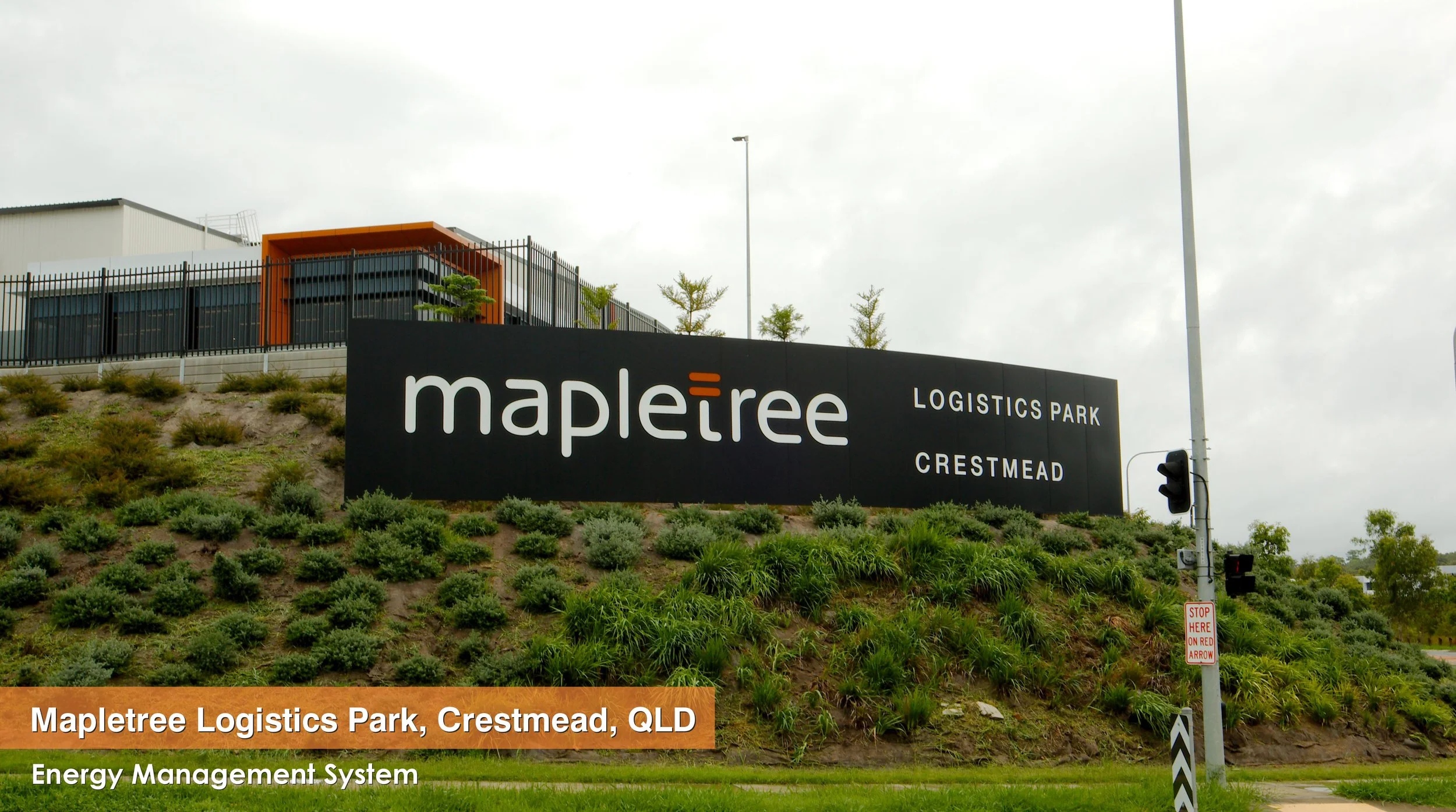 170-Mapletree.jpg