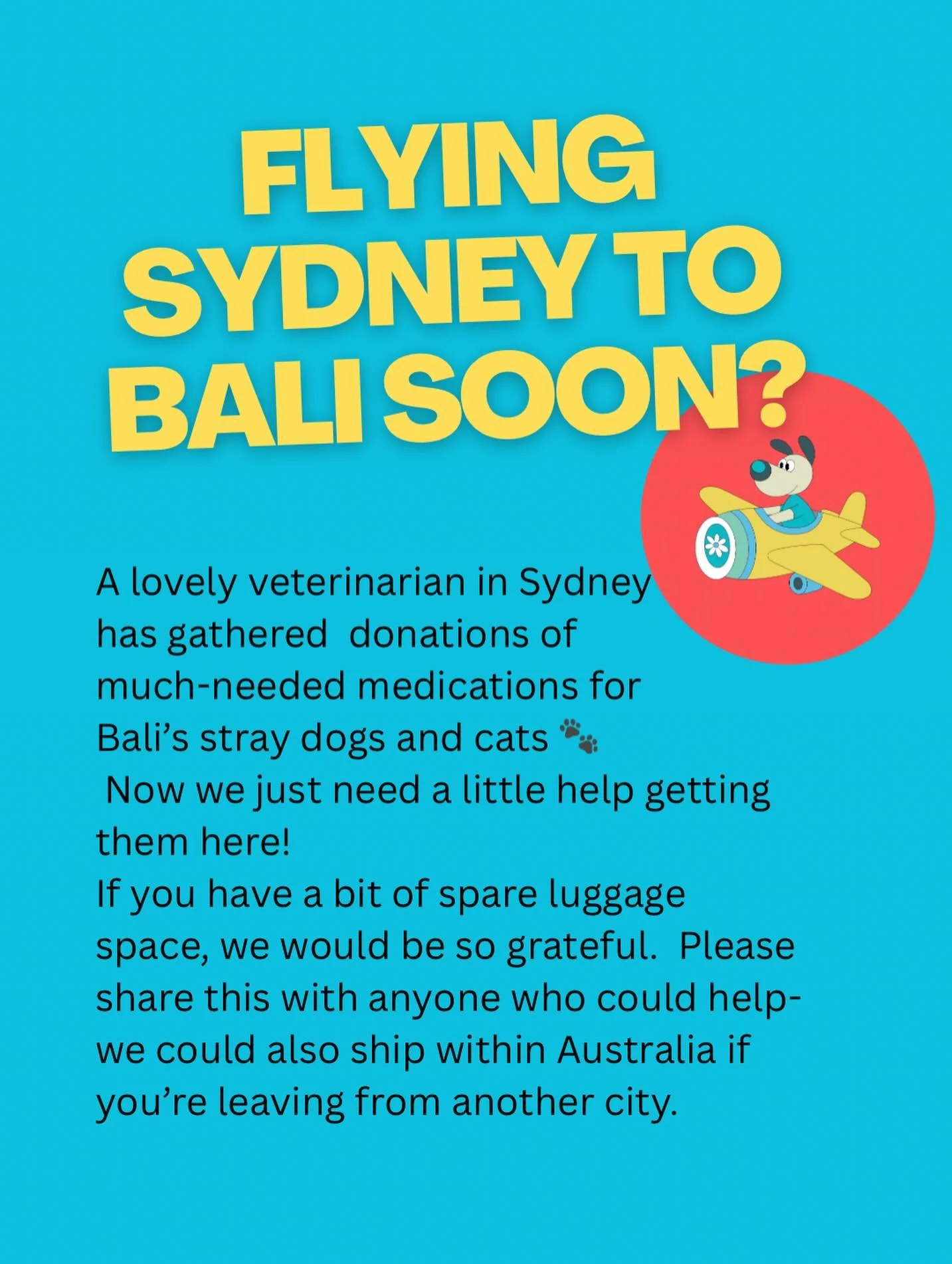 We&rsquo;ve got heaps of donated meds from a vet in Sydney🎉 Please DM or comment if you have a bit of space in your luggage coming over🙏🐾💕 
It&rsquo;s possible that we could post them to another city in Australia as well so please reach out/ shar