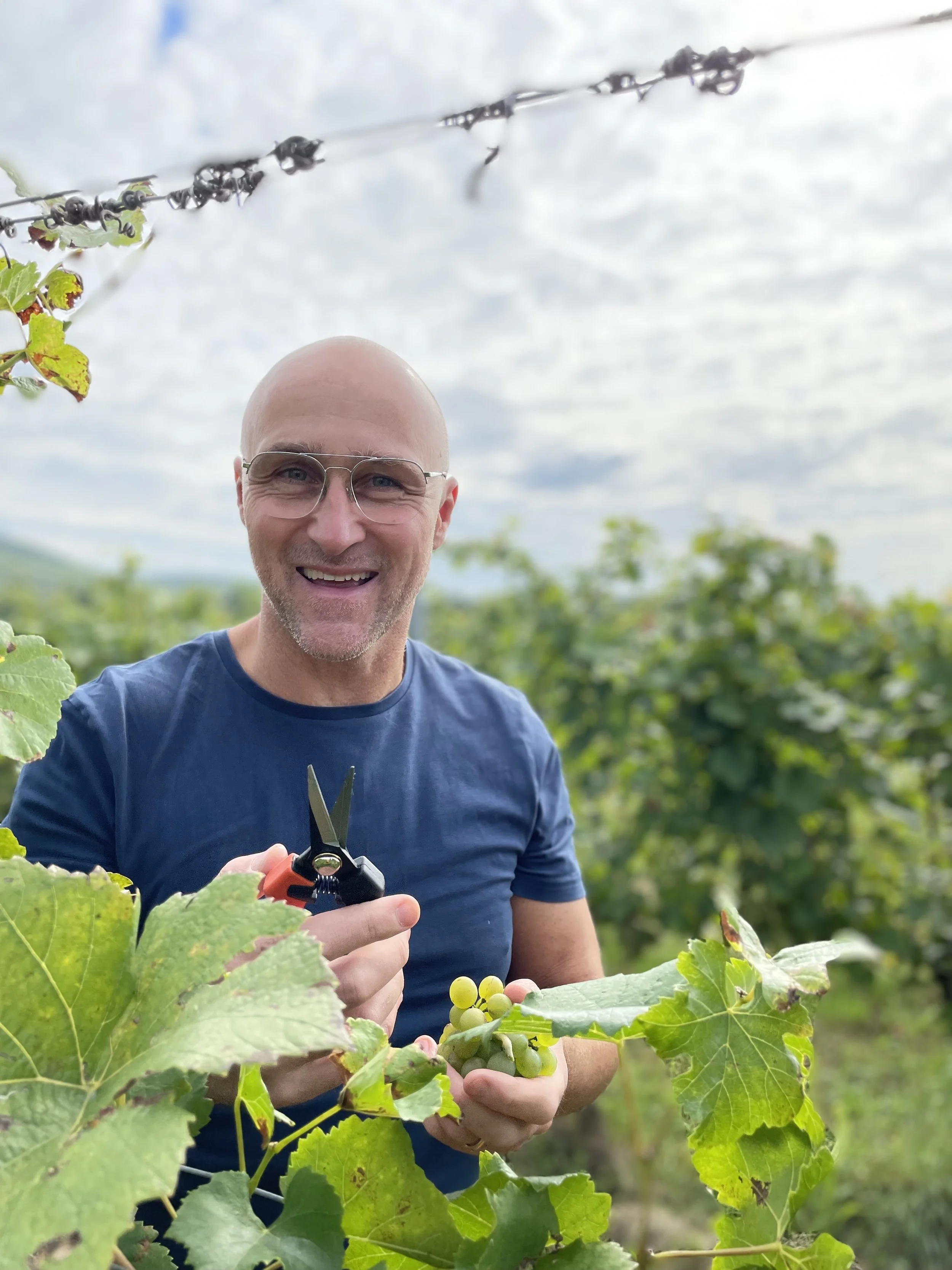 Vinsmaking med Ole Martin Alfsen