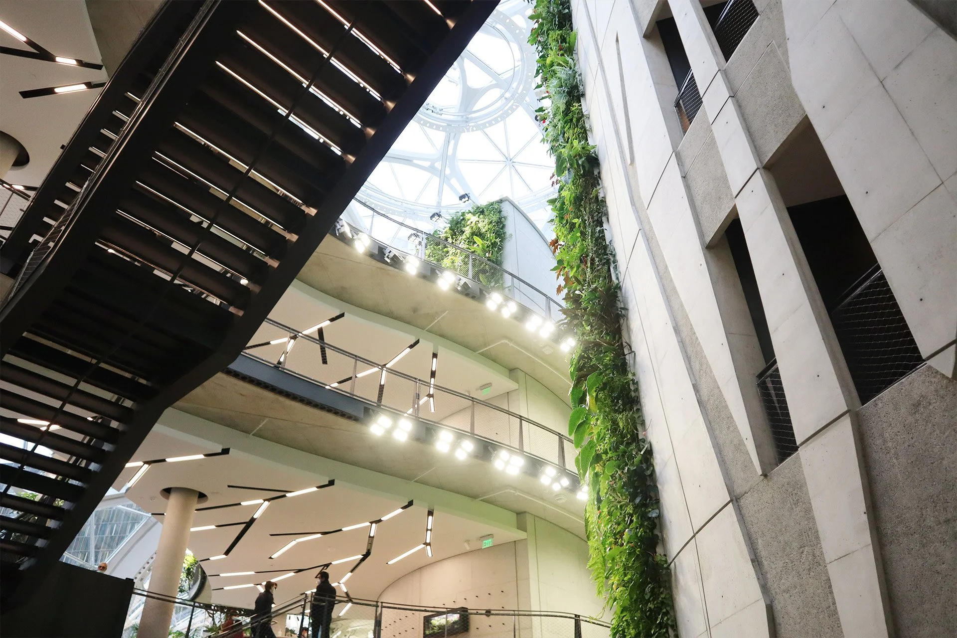 Amazon Seattle_Interior Wall_2.jpg