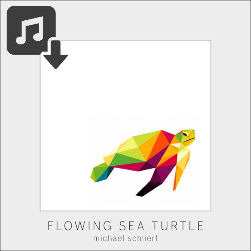 Online Shop Audio Download Flowing Sea Turtle.png
