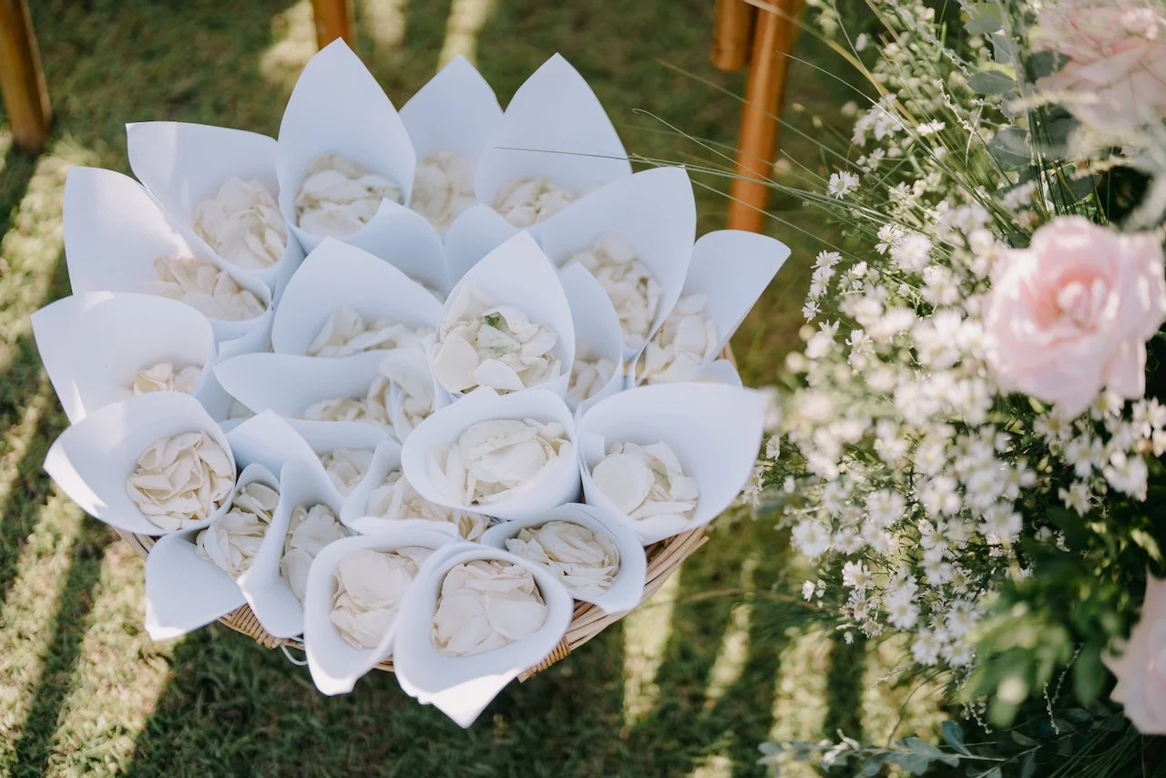 White rose flower shower petals.