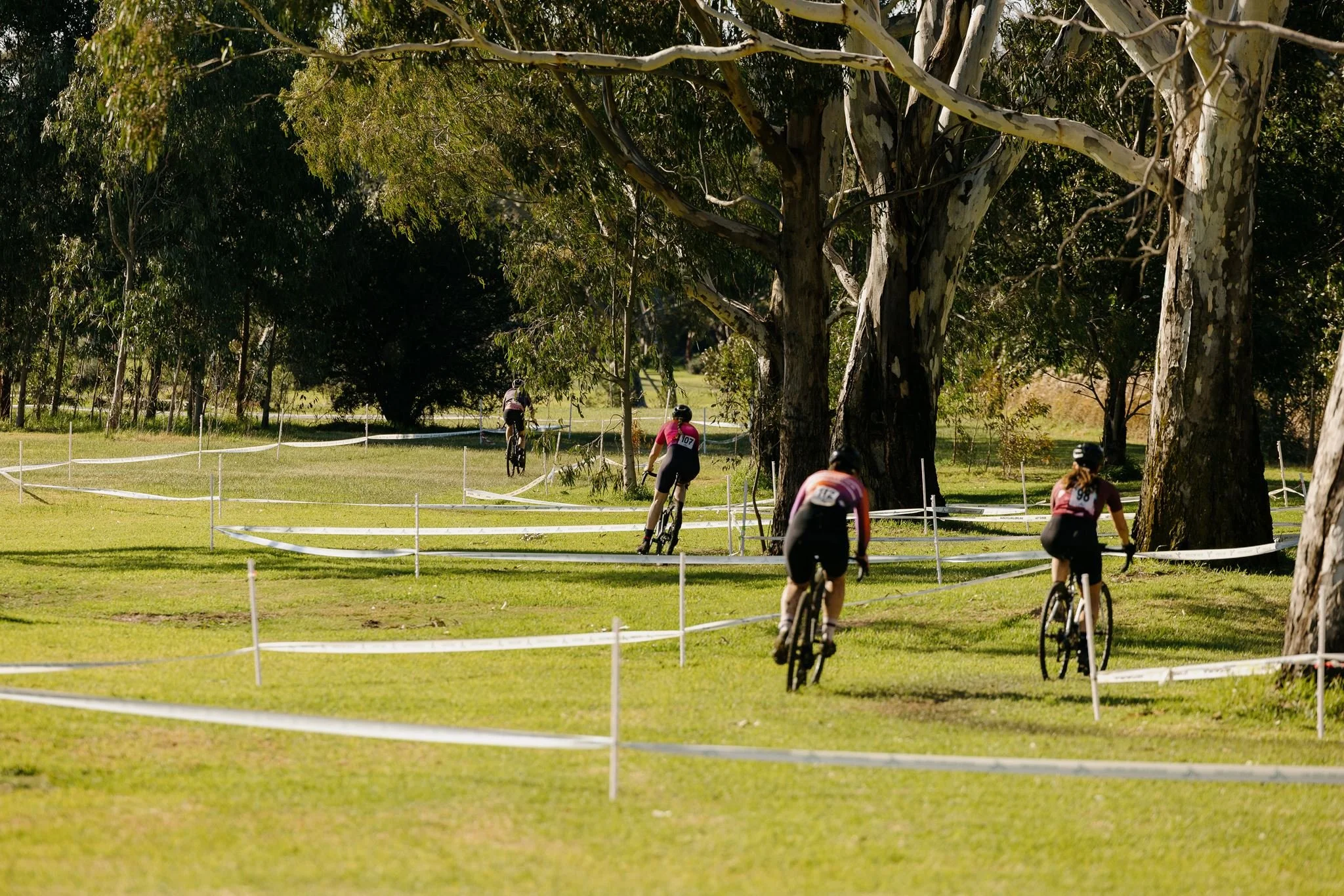 Straight through the trees 1.jpg