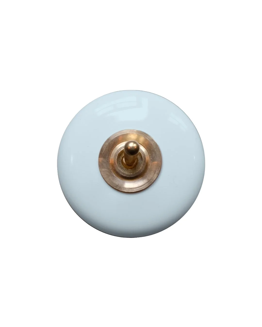Light Blue Porcelain Switch