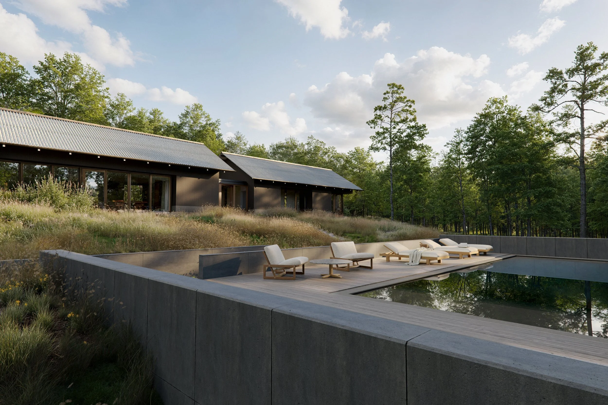 Modern house with a pool and outdoor lounge chairs surrounded by trees and a grassy landscape under a partly cloudy sky.