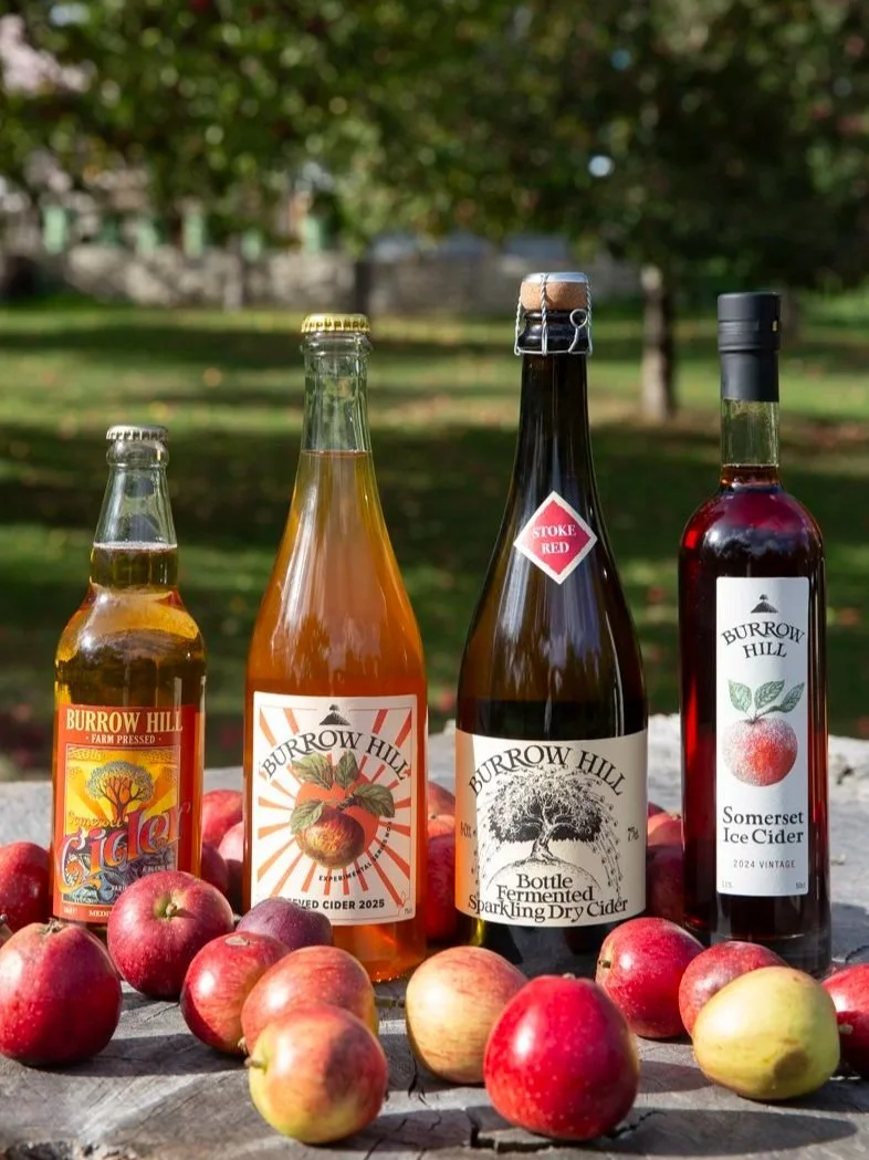 Cider 4 Ways