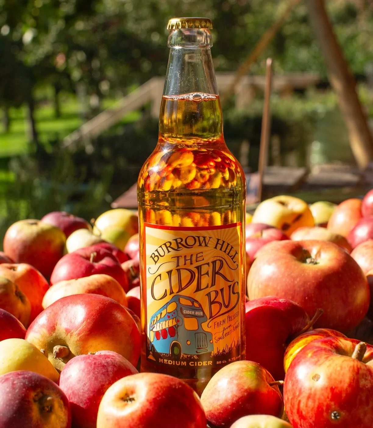 Today&rsquo;s tipple is our Cider Bus cider. Pure juice, fruity cider with 40 or more varieties of beautiful local cider apples in it. The best thing to drink in the last of the summer sun. ☀️ 🍎