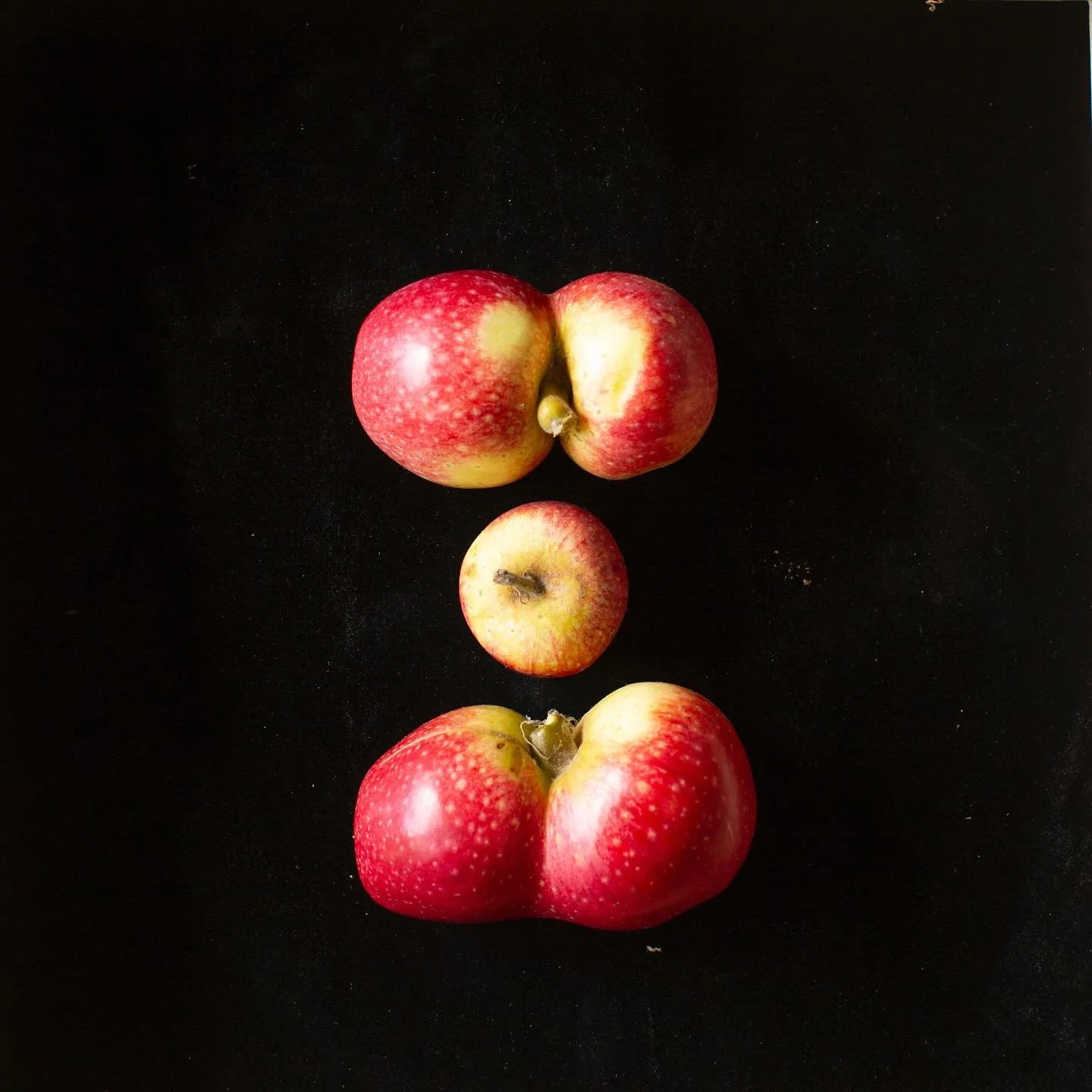 HAPPY NATIONAL APPLE DAY! Since it&rsquo;s apple day here our a few of our 2025 apples from our home orchard. Can you name them?!