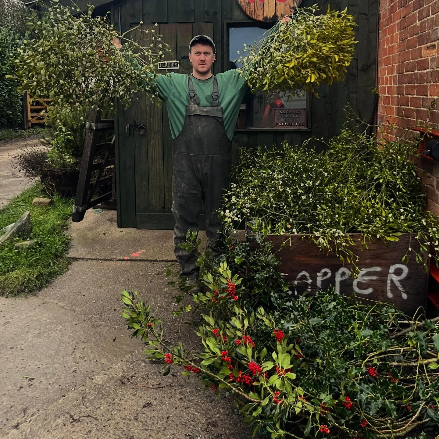 Free mistletoe at the farm shop today 💋 💋