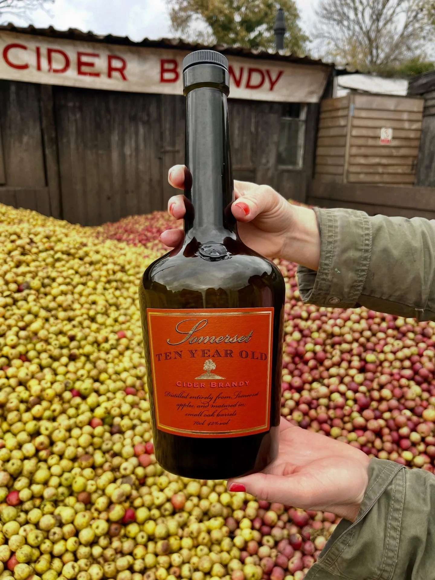 Check out our website for gift ideas (even for those that don&rsquo;t drink). Perfect seasonal gifts from our Somerset orchards. 💥 💥 💥 www.somersetciderbrandy.com