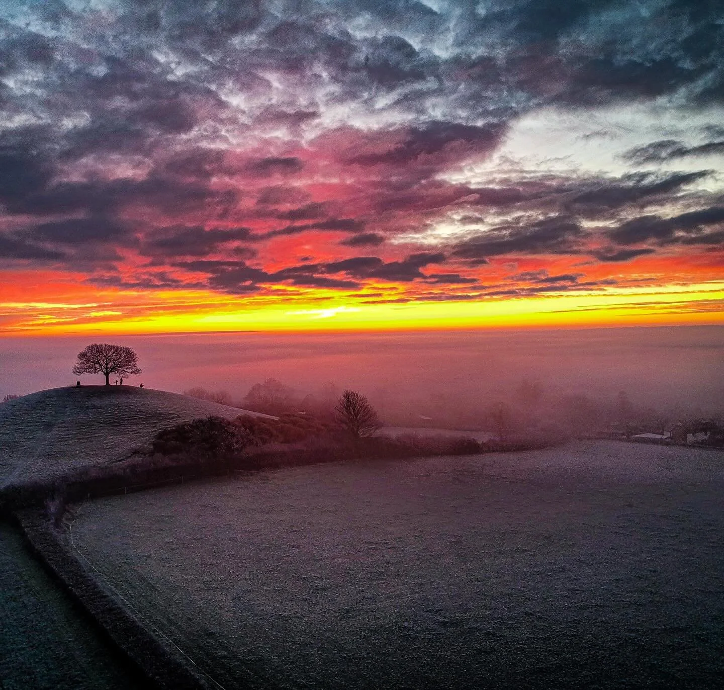 The lights are going on. The weather is so bad we are not going to do a count down but there is still mulled cider and juice to enjoy and anyone brave enough can go get wet looking at them. Tomorrow hopefully it will look like this lovely picture by 