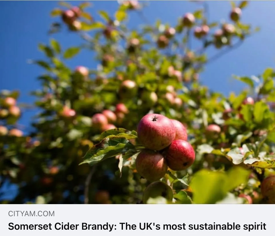 THANK YOU CITY AM! 

"Cider apple trees, are one of the most environmentally friendly crops on the planet. The crop rotation of an apple tree can extend to 100 years and cider orchards are considered priority habitats.  The Somerset Cider Brandy