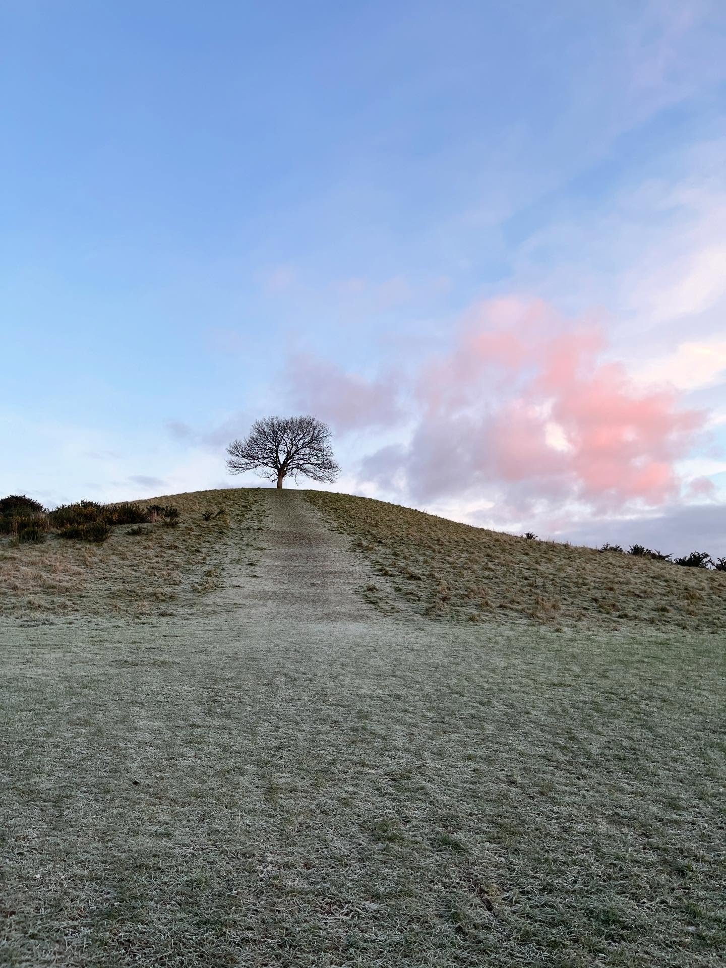 Frosty and bright for the new year of work at Burrow Hill. Gathering ourselves after our huge harvest and cooking up new exciting plans for 2026. Watch this space!