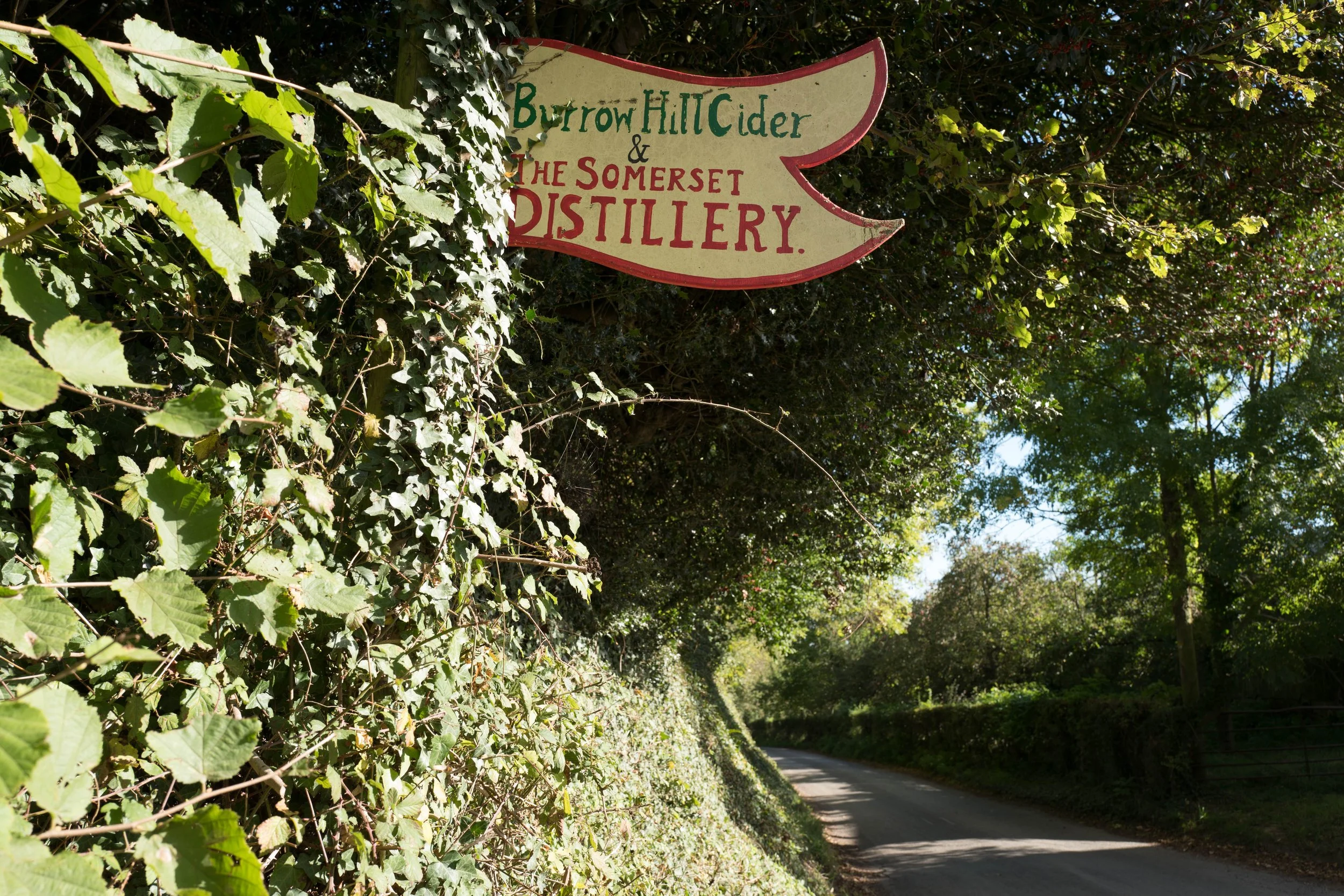 Cider Bus Saturday: Live music by The Kings Of Lounge, food by Basement Tacos,