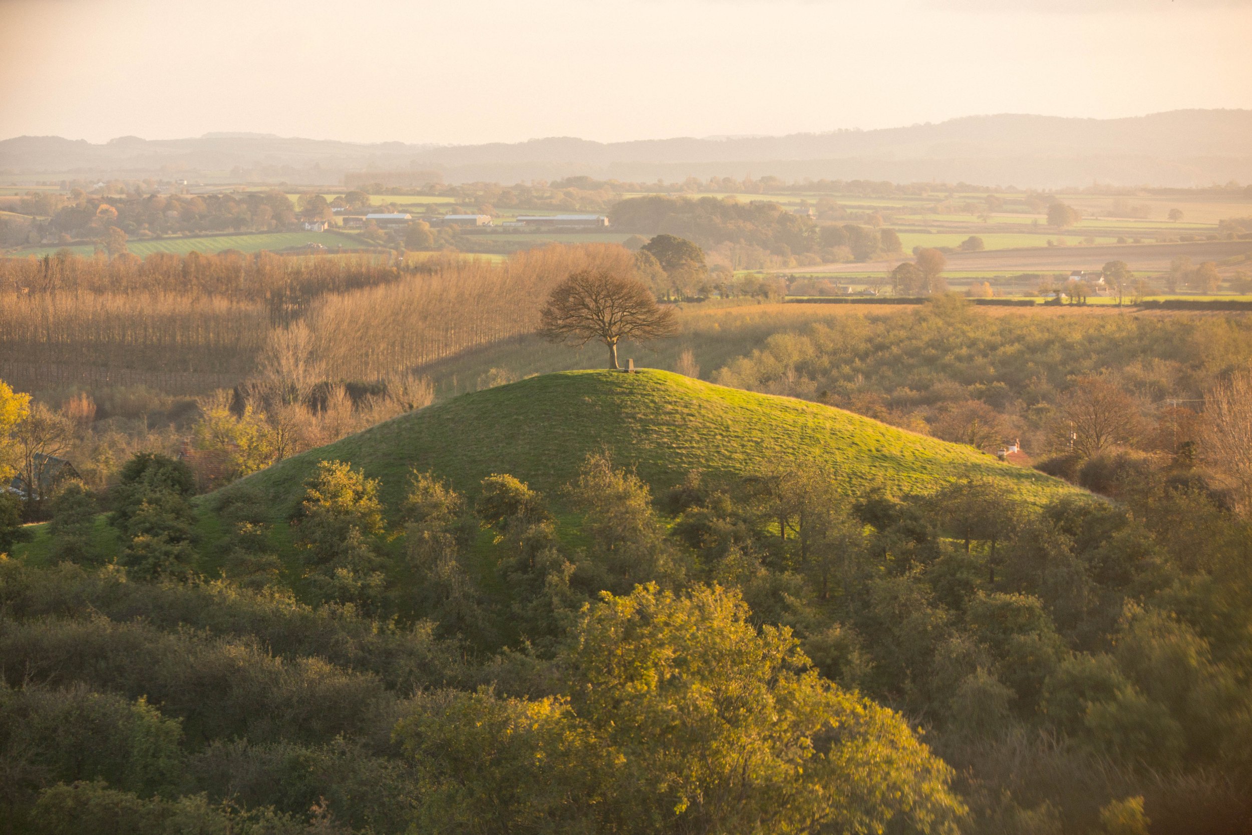 Cider Bus Saturday with Razz Omo and Basement Tacos