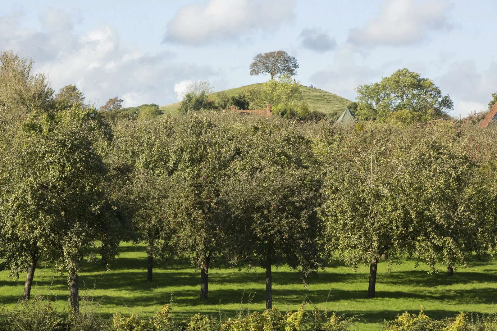 Cider Bus Saturday with music by Man About A Dog