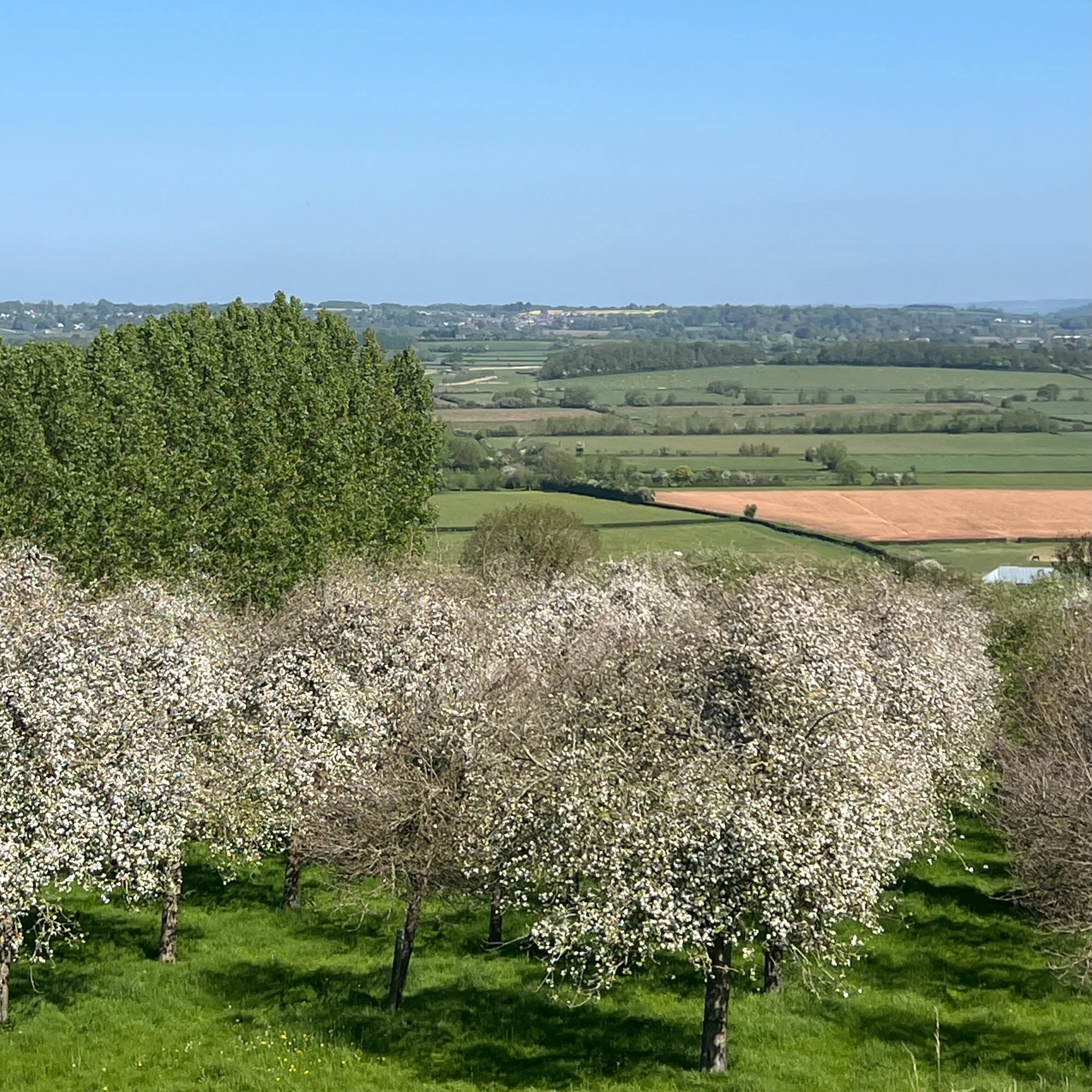 NEWS. Today at 6ish for the suns eclipse we will open our Burrow Hill field for parking so you don&rsquo;t have to park on the road.
It&rsquo;s a great vantage point. Happy watching ☀️