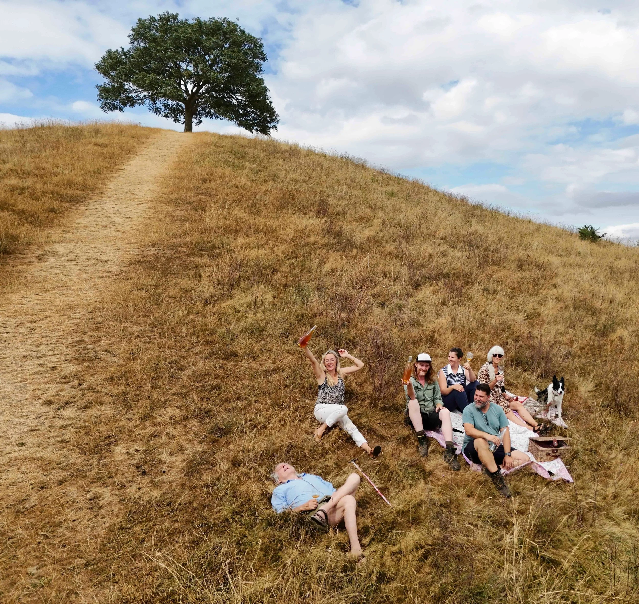 Introducing the Burrow Hill Experimental series. Our first ever keeved cider made from end of season Vilberie apples represents a delicious new chapter for us. Our botanical is also now online and ready for you. Using the botanical like a vermouth we
