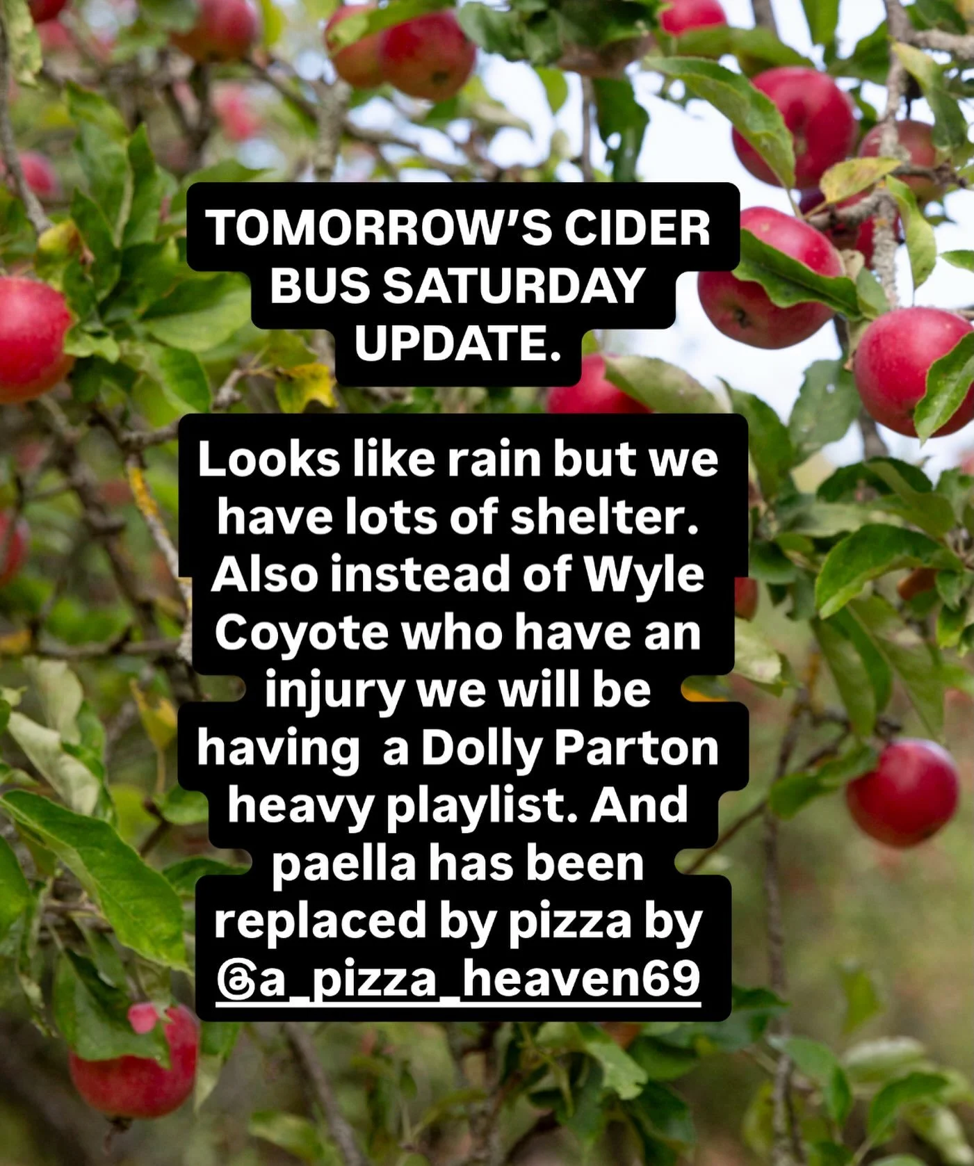 Cider Bus Saturday changes tomorrow. Hope to see some of you there ❤️🍏