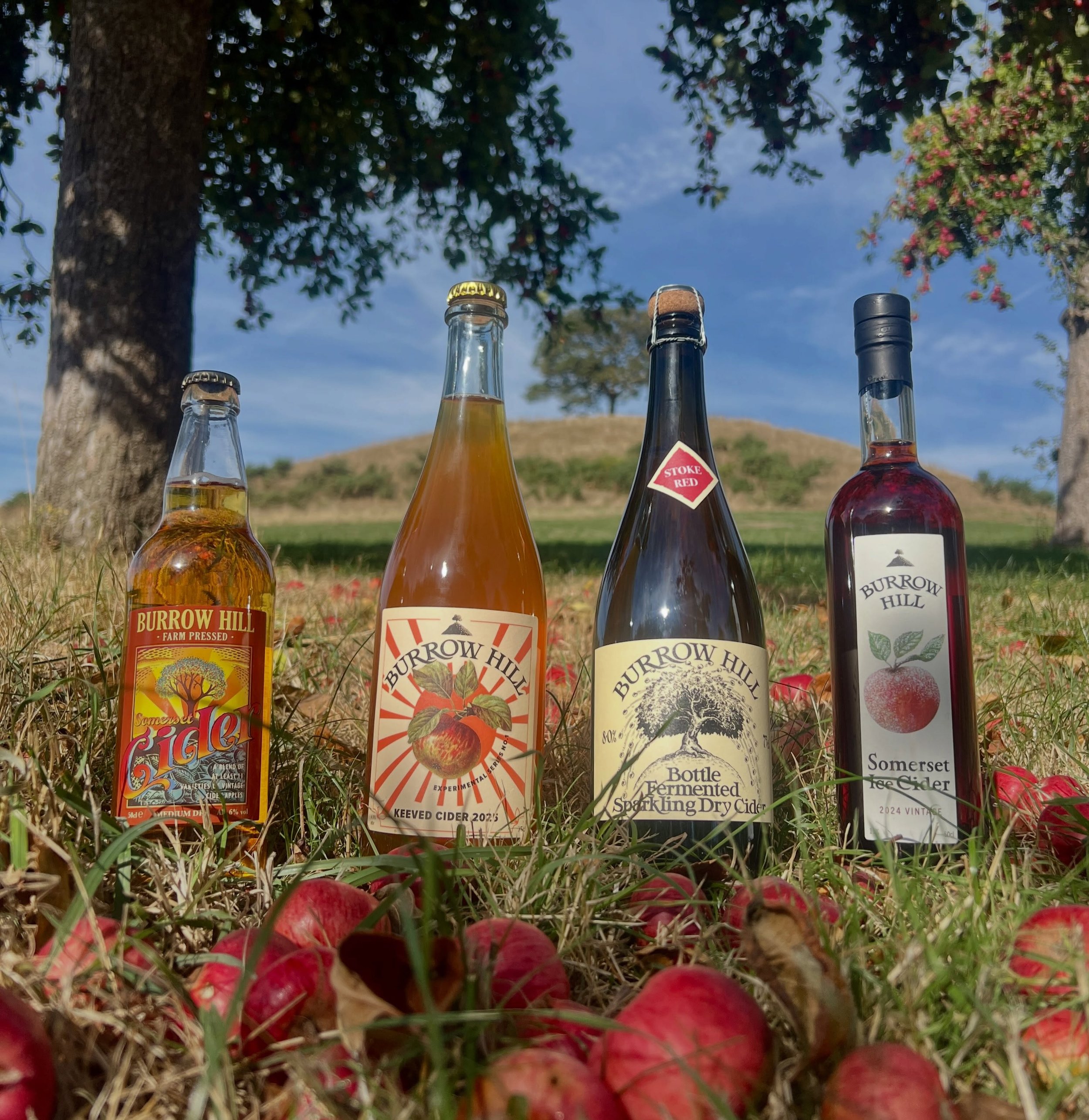 For the past 50 years at Burrow Hill, we&rsquo;ve been championing the idea that cider can be every bit as varied and complex as wine. Whatever the occasion there is a cider to match it.

For a classic easy pour try the Burrow Hill Classic Sparkling.