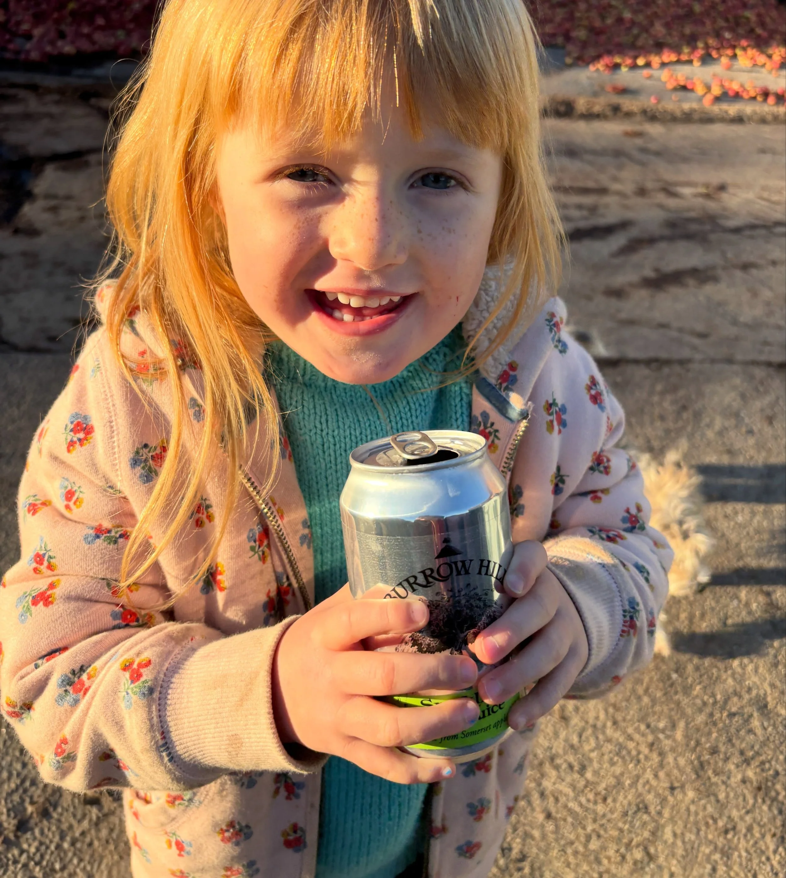 Back in stock and online for the first time. Our brilliant (if we do say so) sparkling apple juice cans. 💥❤️💥❤️💥❤️
