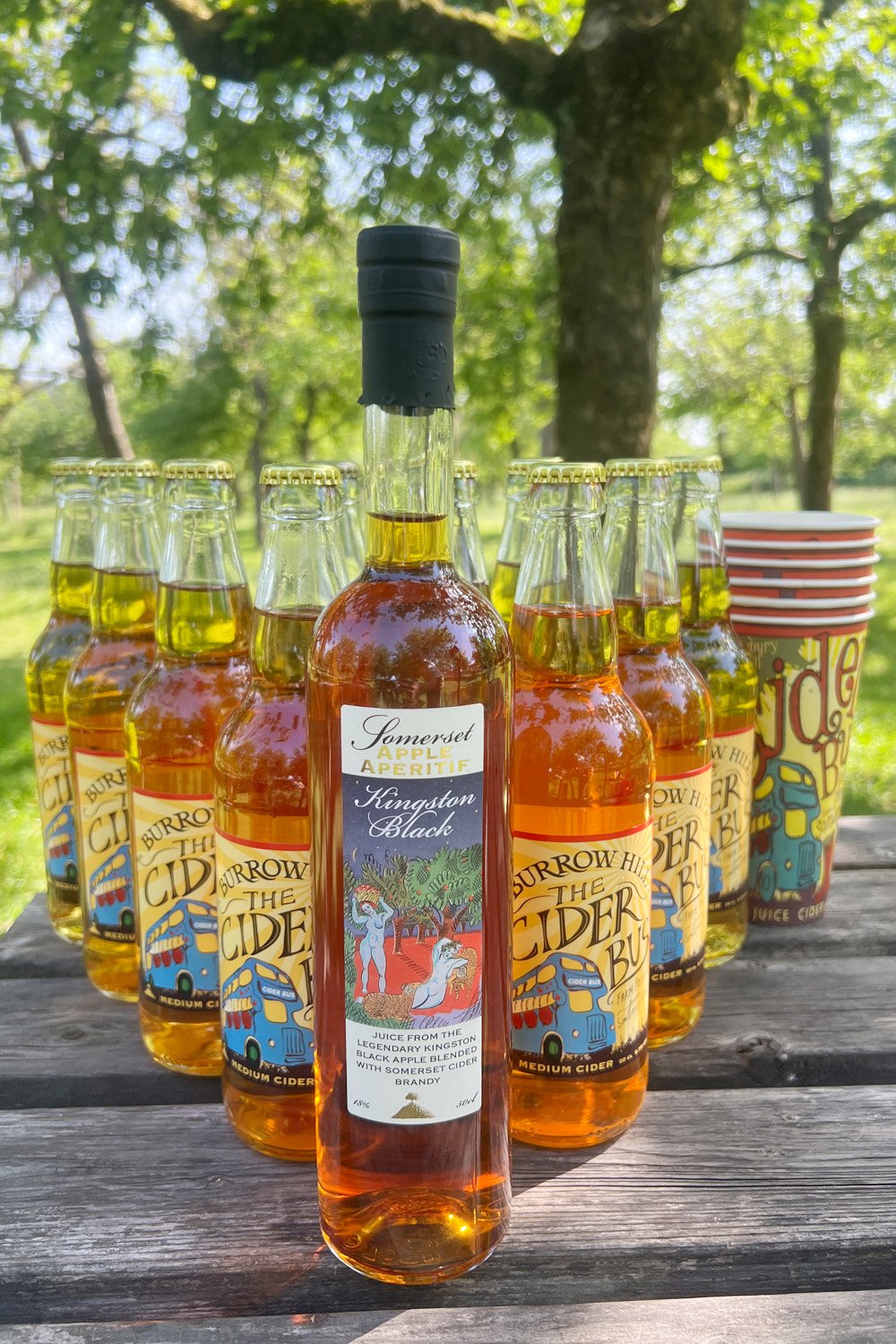 The Cider Bus Box