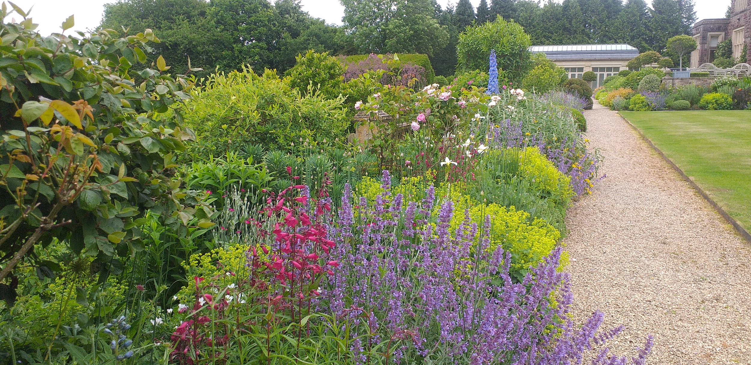 Long Border North