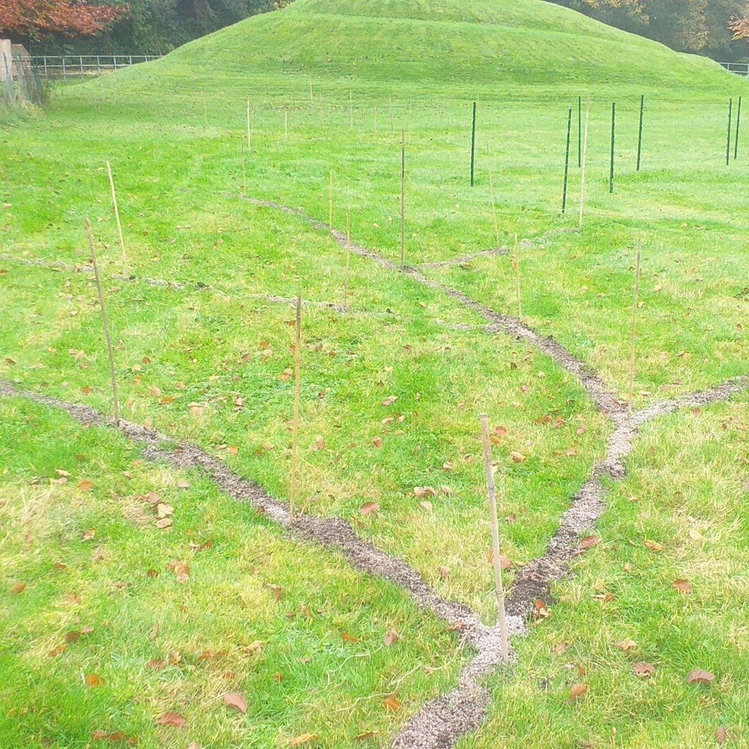 Bulb planting season 2024.
Step 1.
Mark out trench veins with grit and compost.