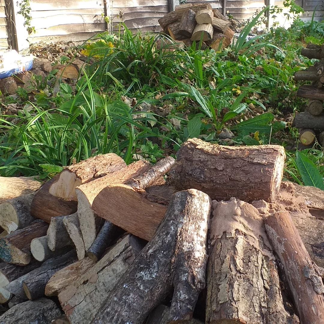 Creating a wildlife friendly garden for a young family can have its benefits, especially when the brief is to create child friendly areas and areas of play.
The toys was just added fun!