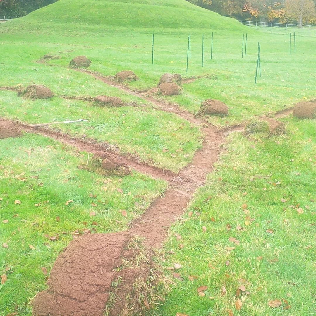 Stage 2.

Turf cutter, roll the sods up hill for easy lay once finished. Meal time for the birds, hedgehogs and foxes, let them gorge on a smorgasbord of worms and grubs.