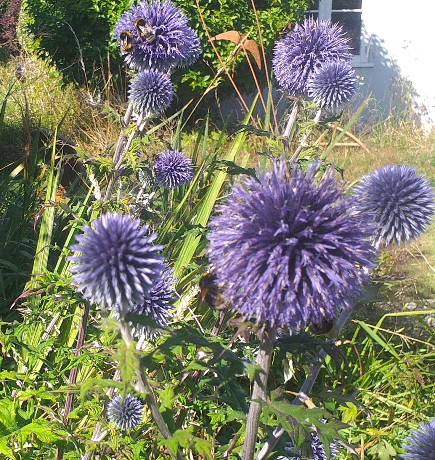 20240810_090507.jpg