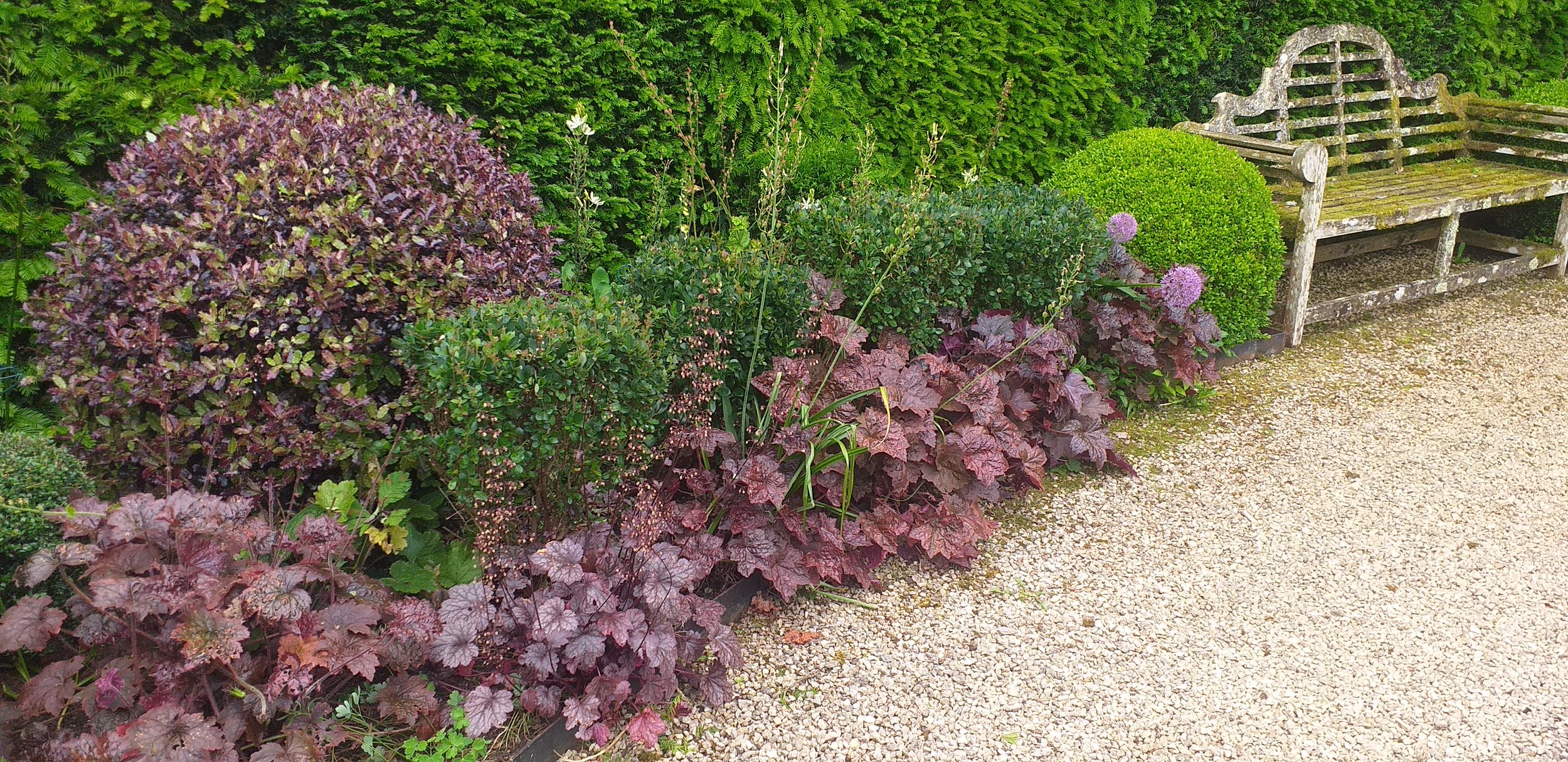 Pond Garden (Dark planting)