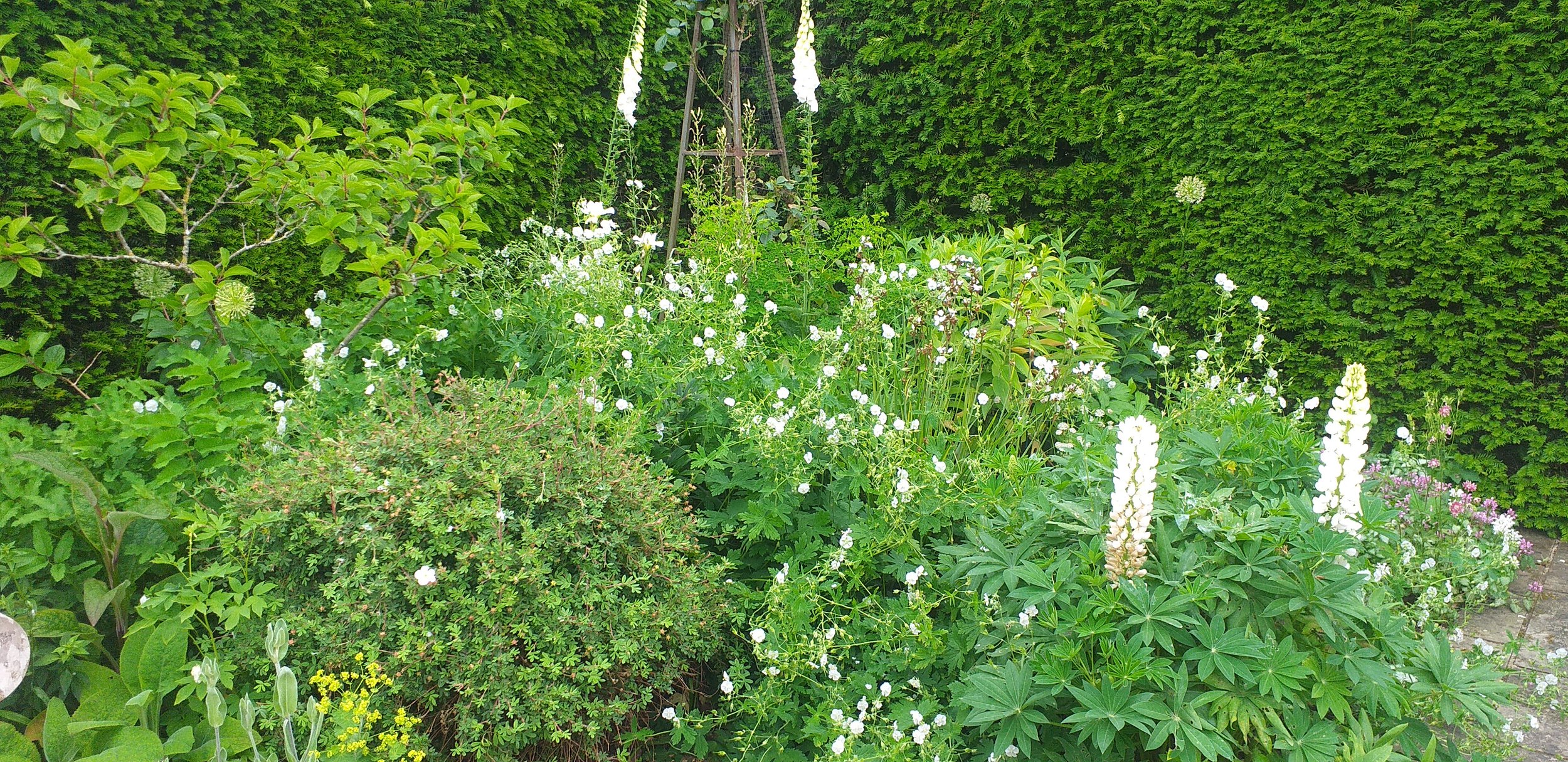 Sculpture garden (White planting)