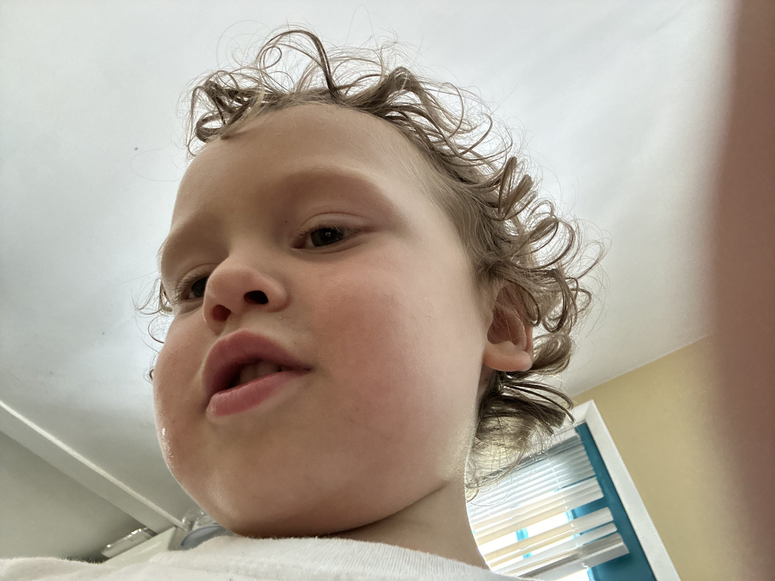 IMG_7156.jpeg