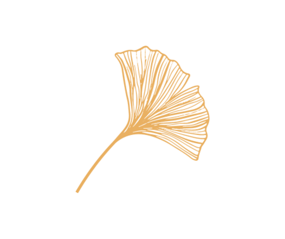 Ginko Studio.png